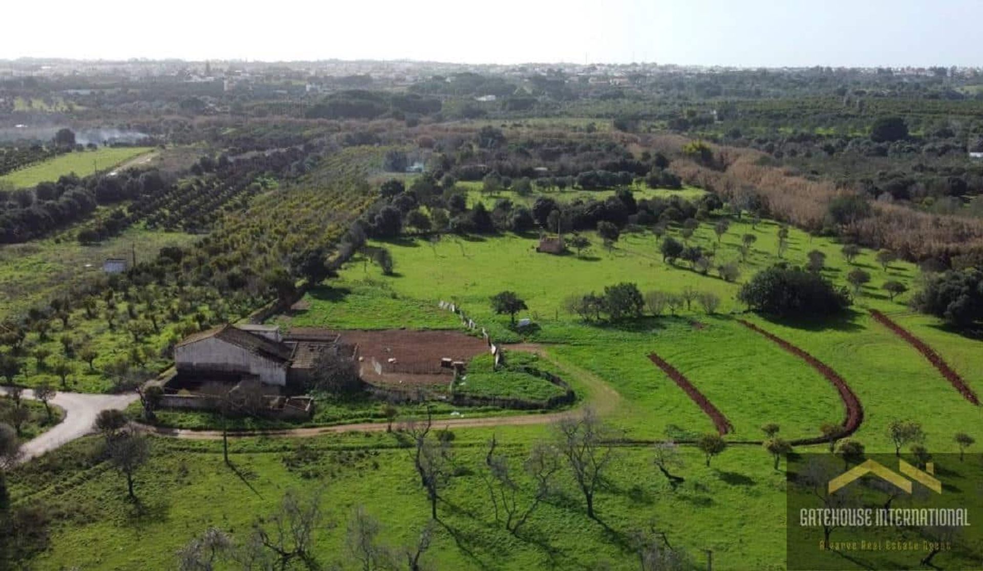 Tierra en Boliqueime, Faro 11920408