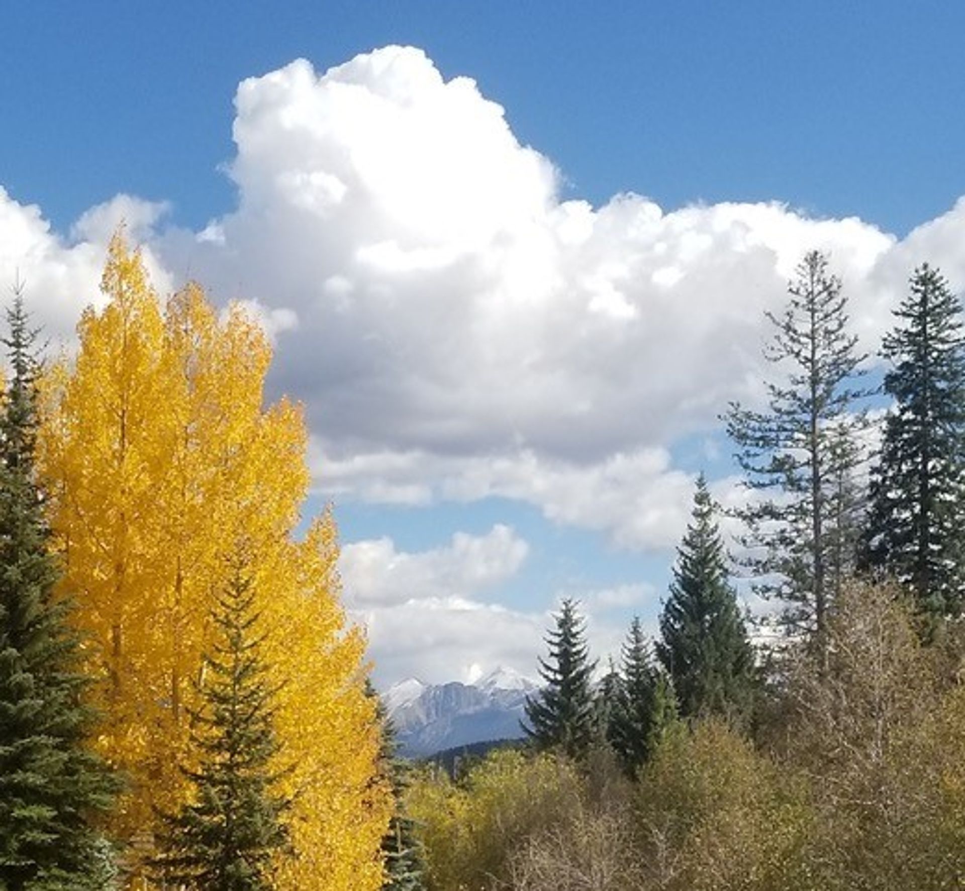 بيت في Frisco, Colorado 11920895