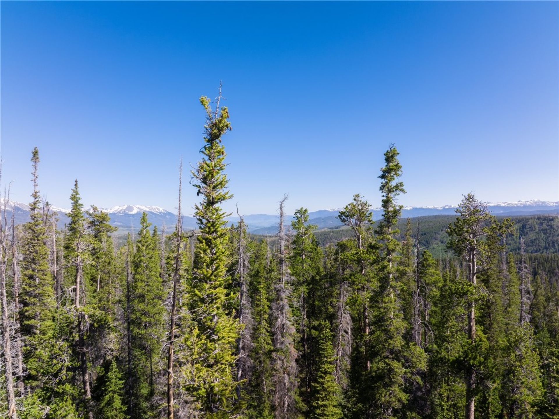 Land i Breckenridge, Colorado 11920902