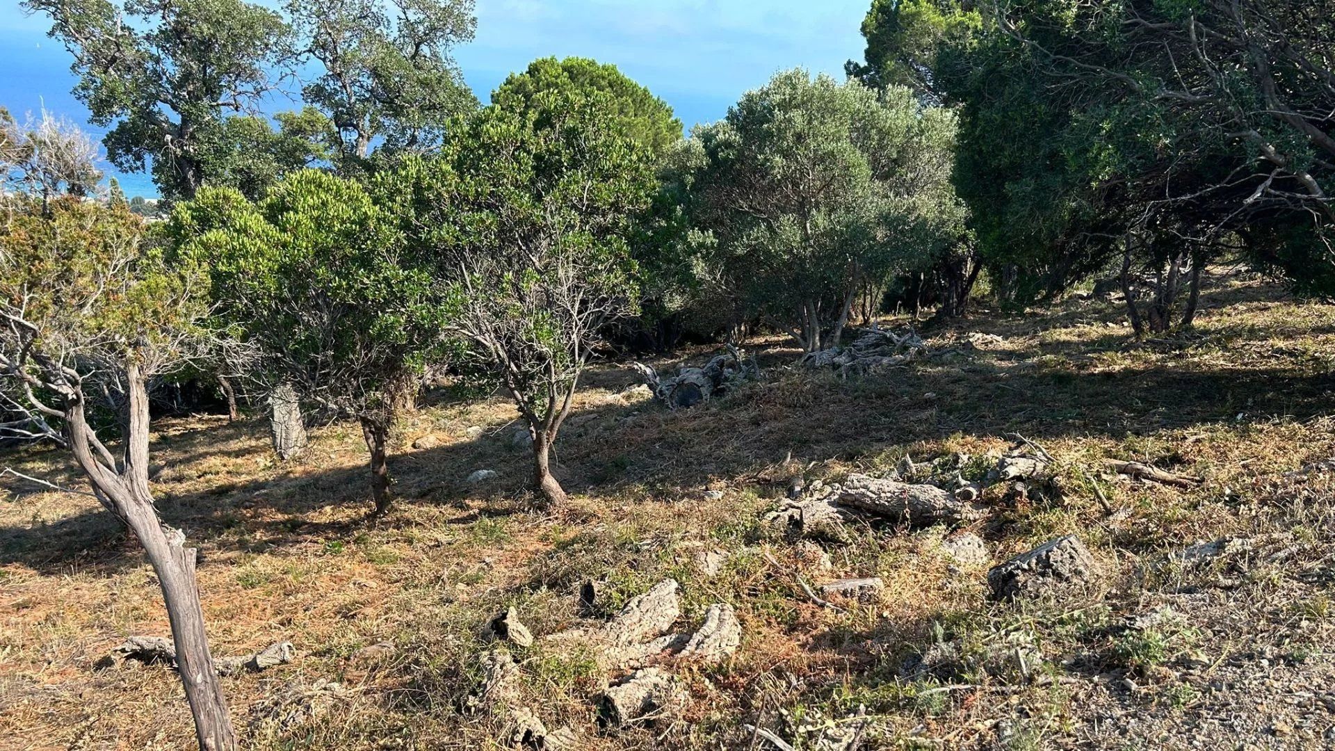 קוֹנדוֹמִינִיוֹן ב קוואליר-סור-מר, פרובנס-אלפ-קוט ד'אזור 11920961