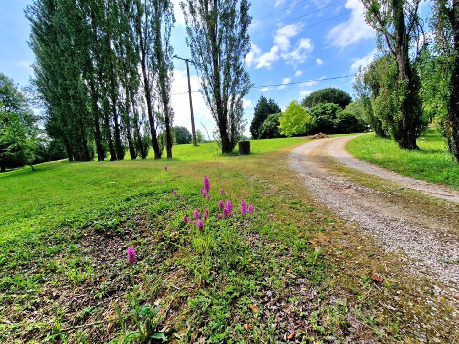 मकान में Beaumontois-en-Périgord, Nouvelle-Aquitaine 11921208