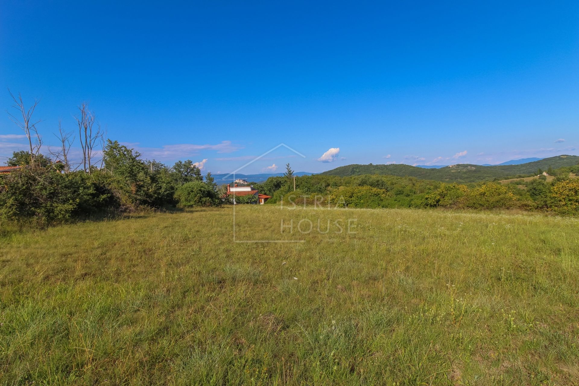 土地 在 Motovun, Istria County 11921761