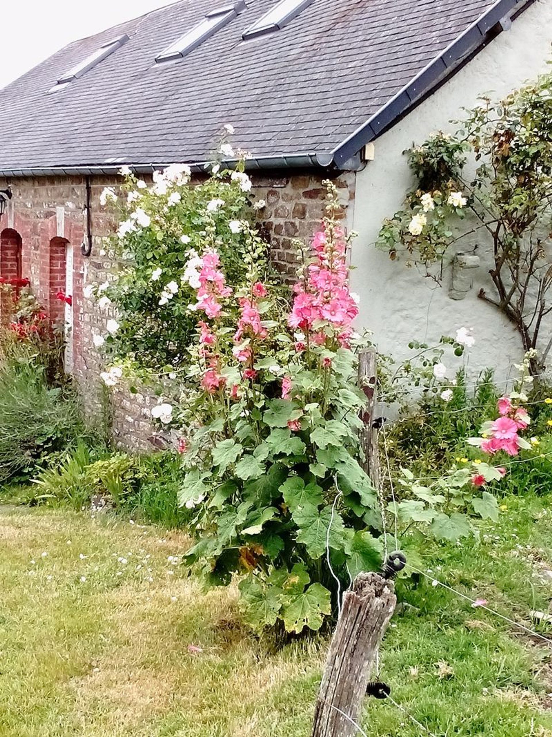 मकान में Savigny-le-Vieux, Normandy 11923147