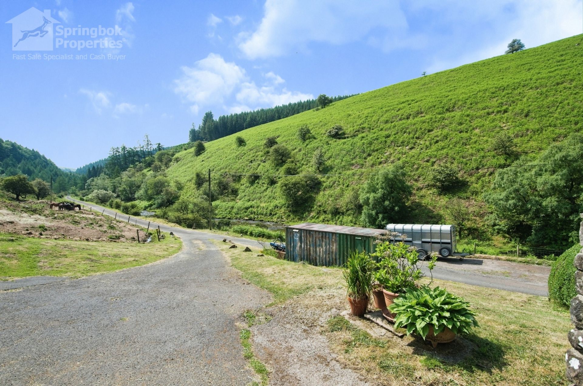 rumah dalam Forest Coal Pit, Wales 11924024