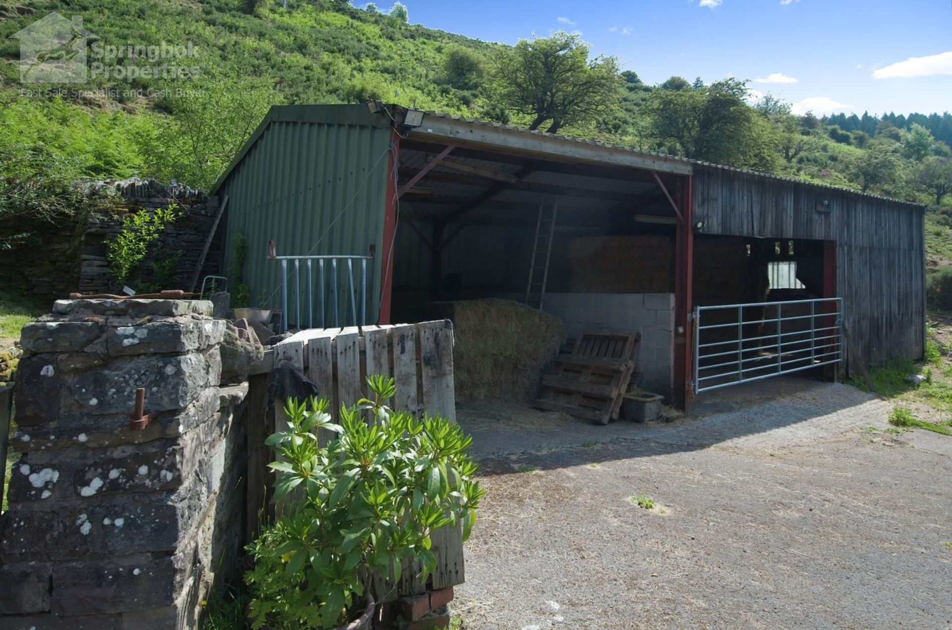 rumah dalam Forest Coal Pit, Wales 11924024