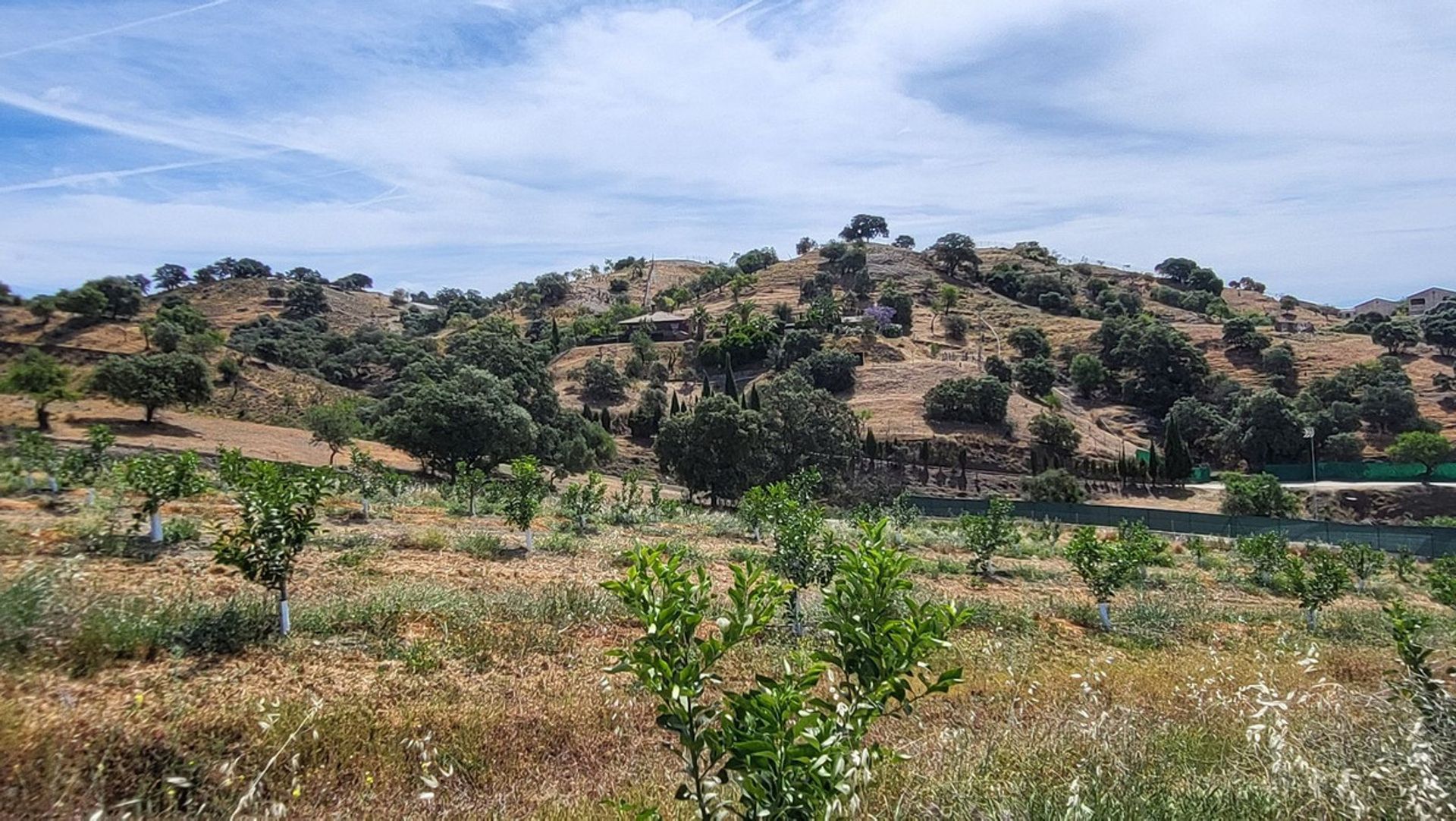 Terre dans , Andalucía 11924703