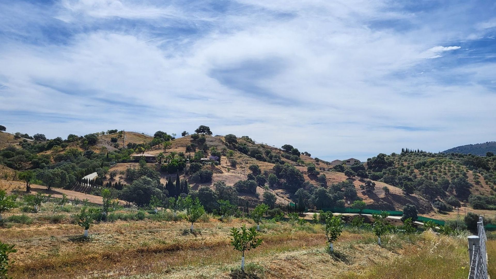 Terre dans , Andalucía 11924703