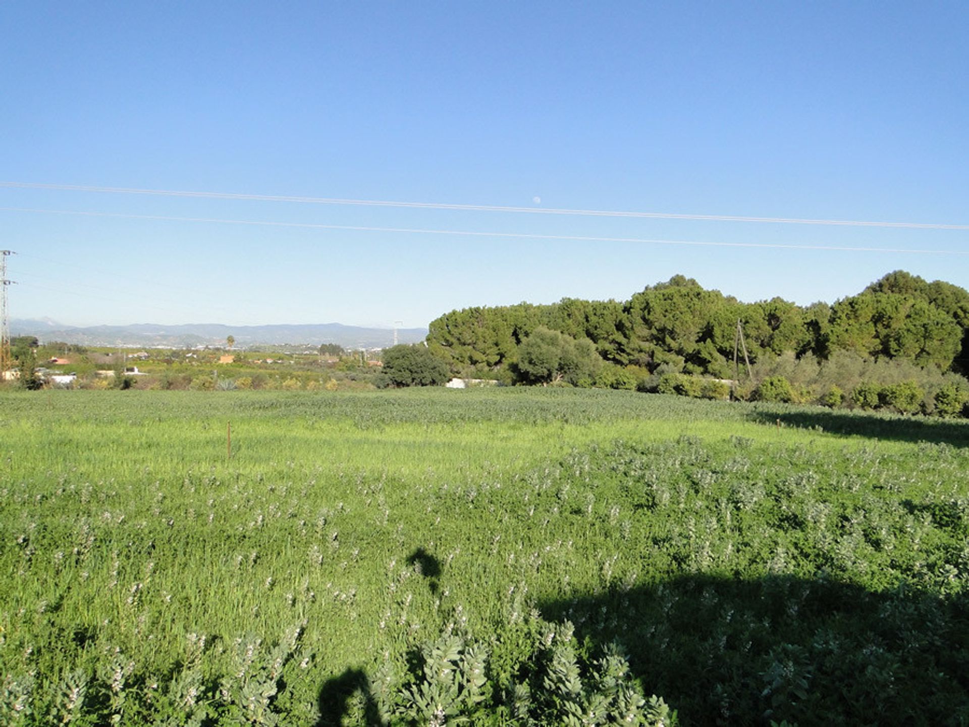 House in Alhaurín el Grande, Andalucía 11926931