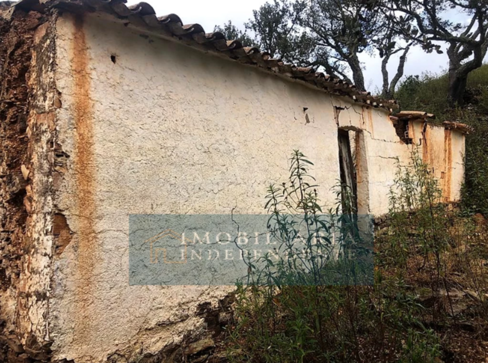 Commercial in Faro, Faro District 11929714