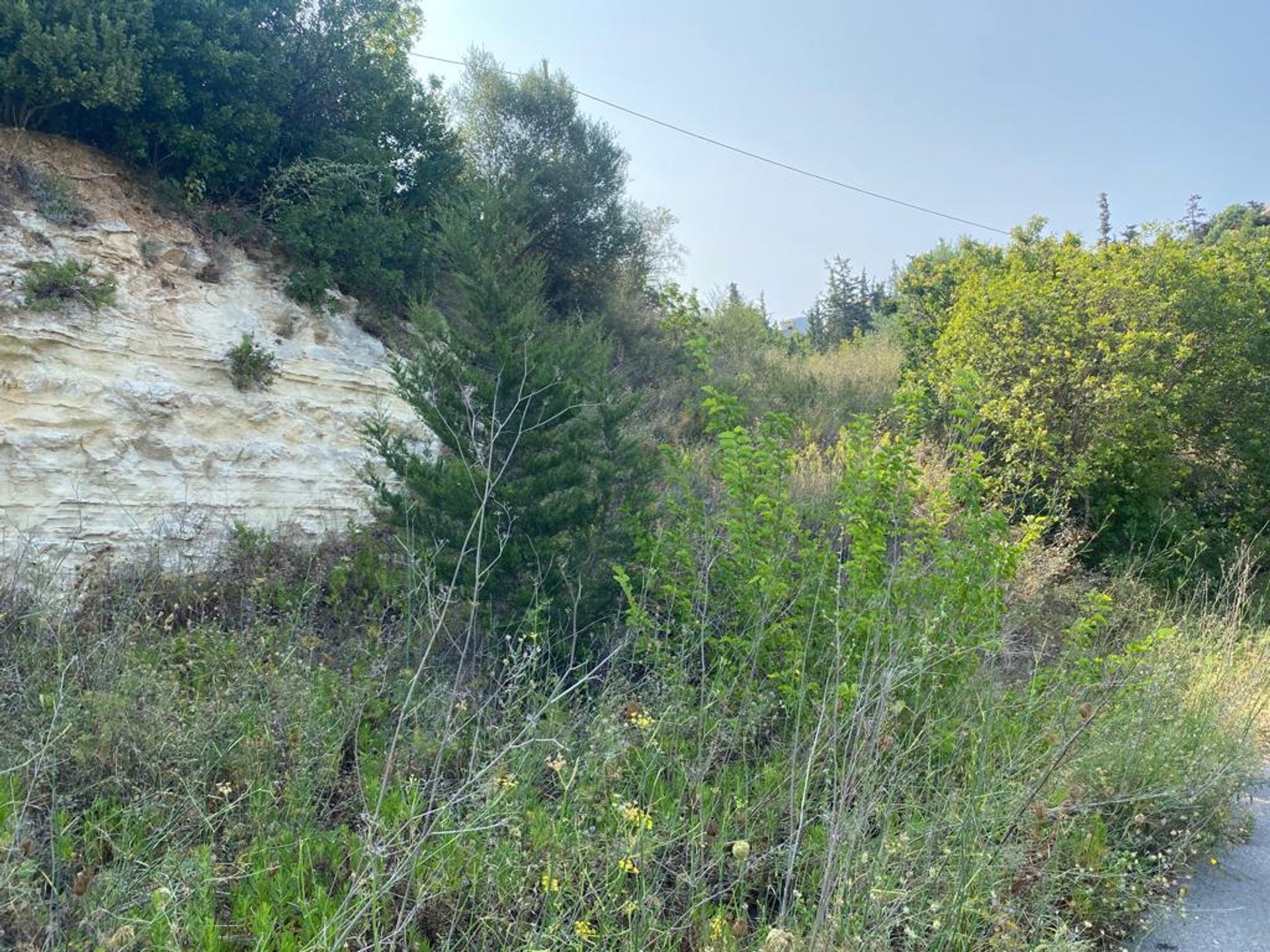 Land in Kefalas, Kriti 11929857