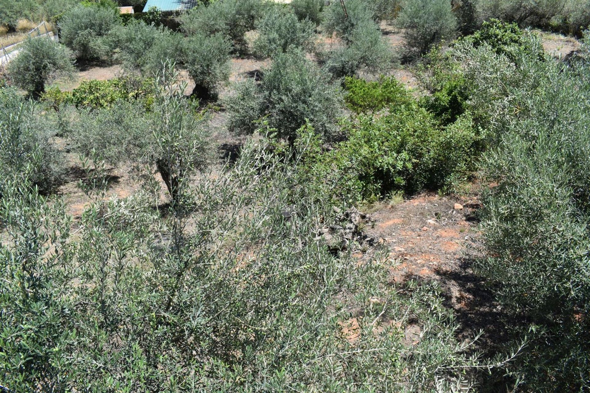 Haus im Alhaurín de la Torre, Andalucía 11930634