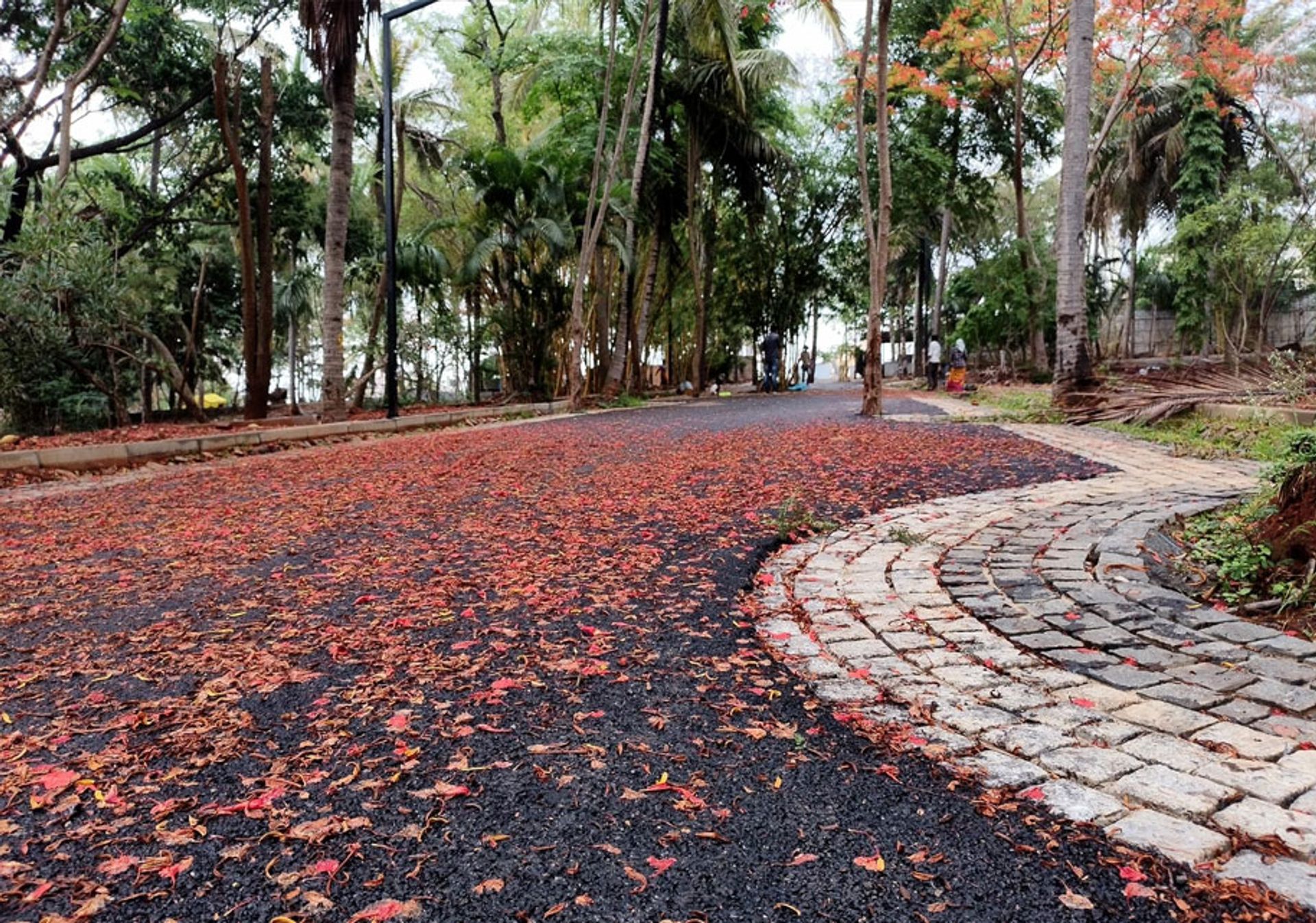 多個房子 在 Bengaluru, Kanakapura Road 11931523