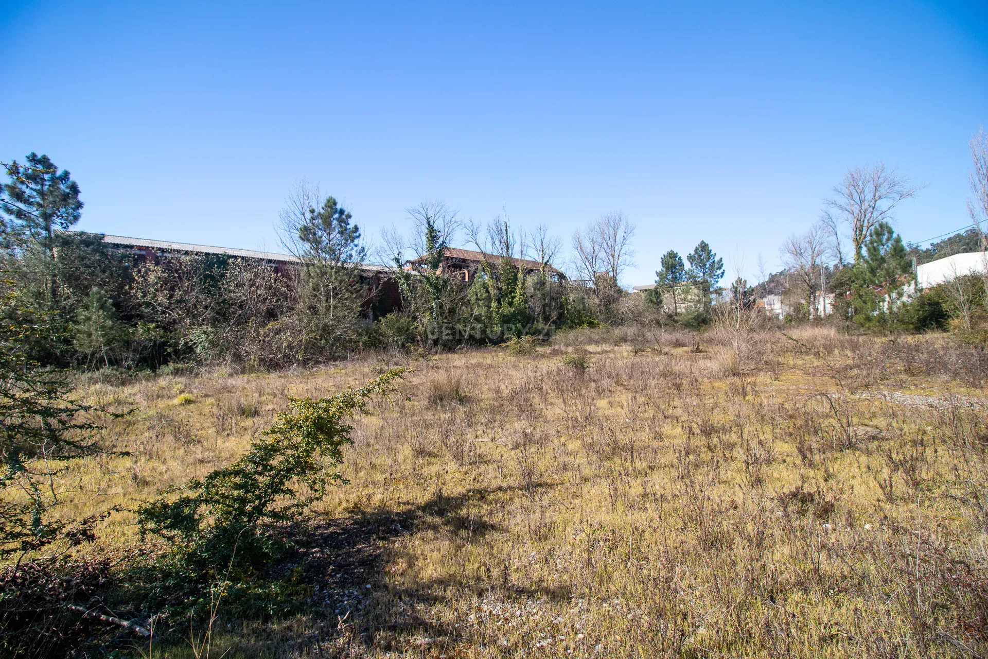 Outro no Caxarias, Santarém District 11931532