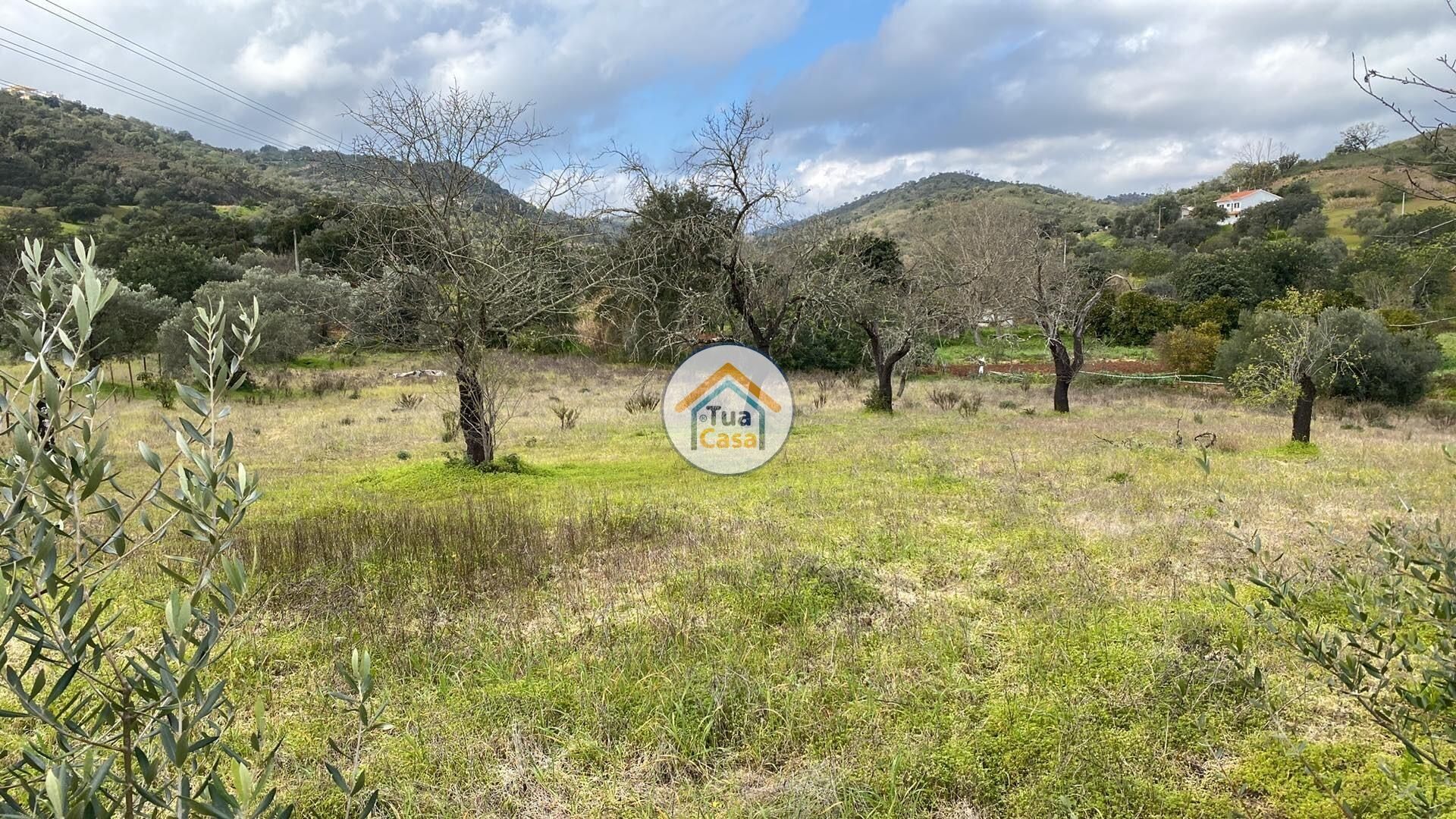 Terra no São Brás de Alportel, Faro 11934040