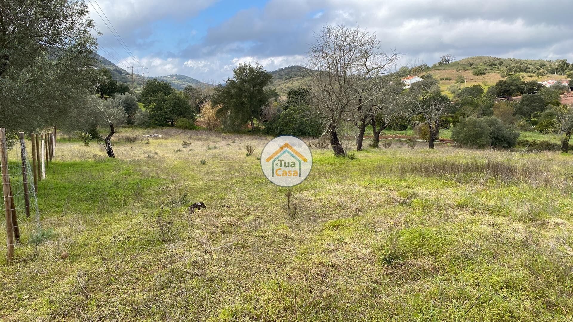 Tierra en São Brás de Alportel, Faro District 11934040