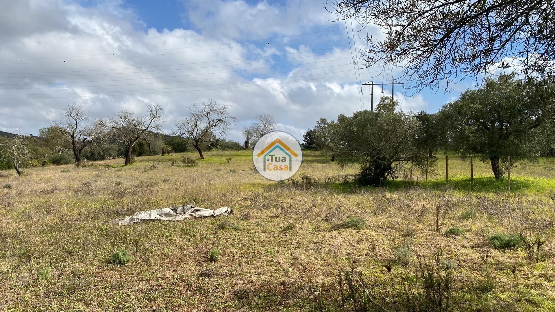 Sbarcare nel São Brás de Alportel, Faro District 11934040