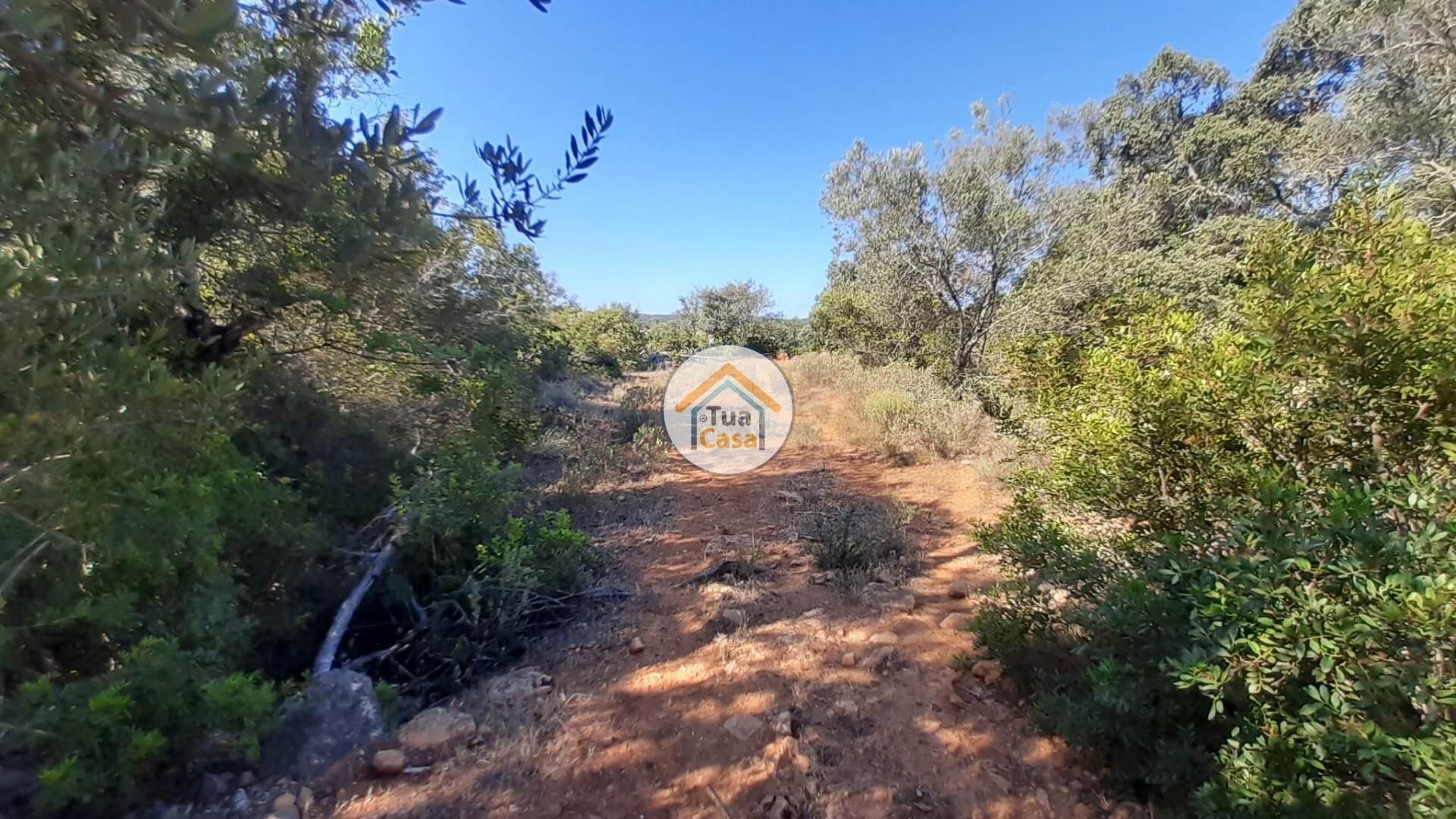 土地 在 Loulé, Faro District 11934041