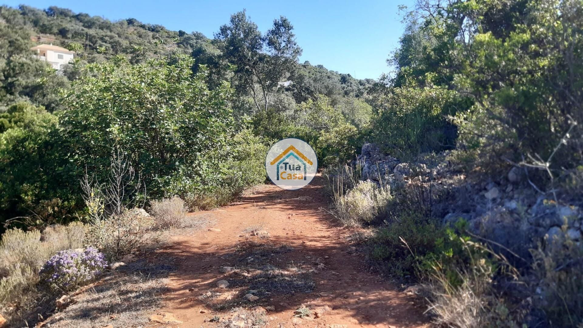 Tierra en Loulé, Faro District 11934041