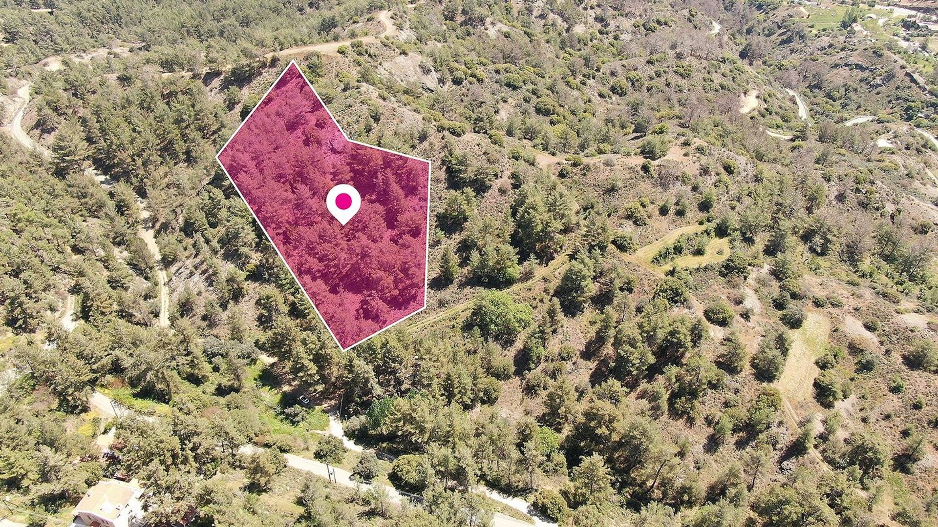 Land im Palodeia, Lemesos 11934244