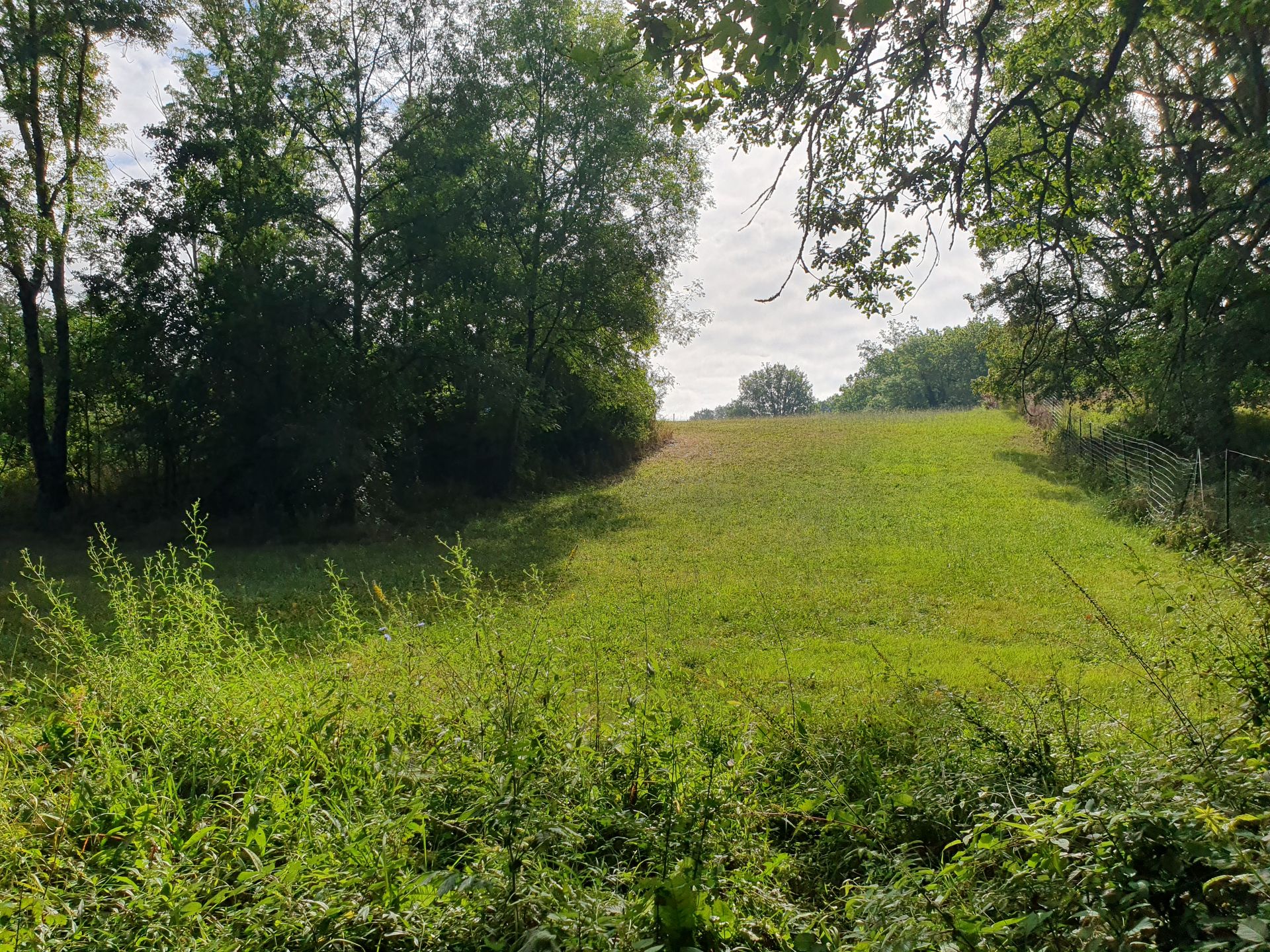 loger dans Serres et Montguyard, Nouvelle-Aquitaine 11934431