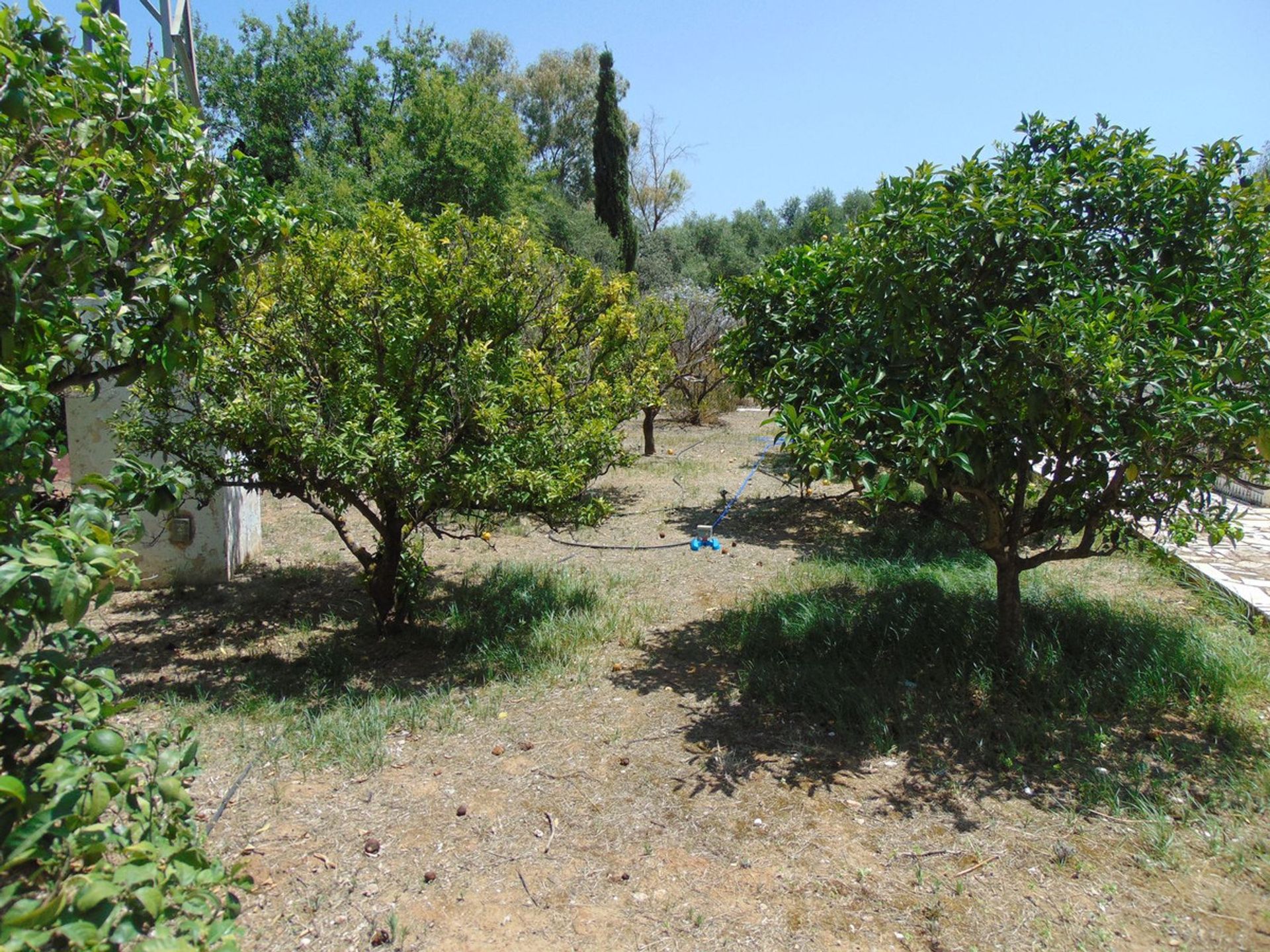 Rumah di Alhaurín el Grande, Andalucía 11934936