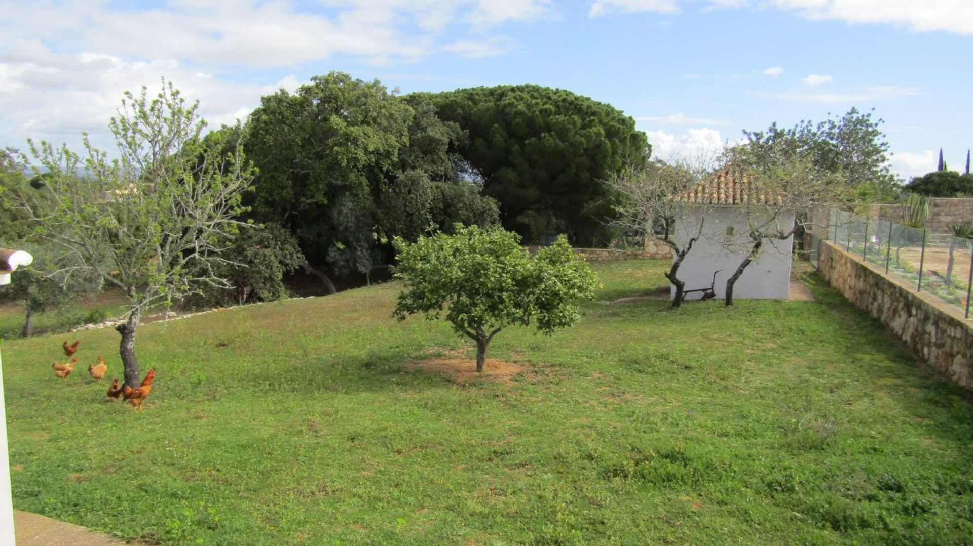 Autre dans Lagoa, Faro 11935977