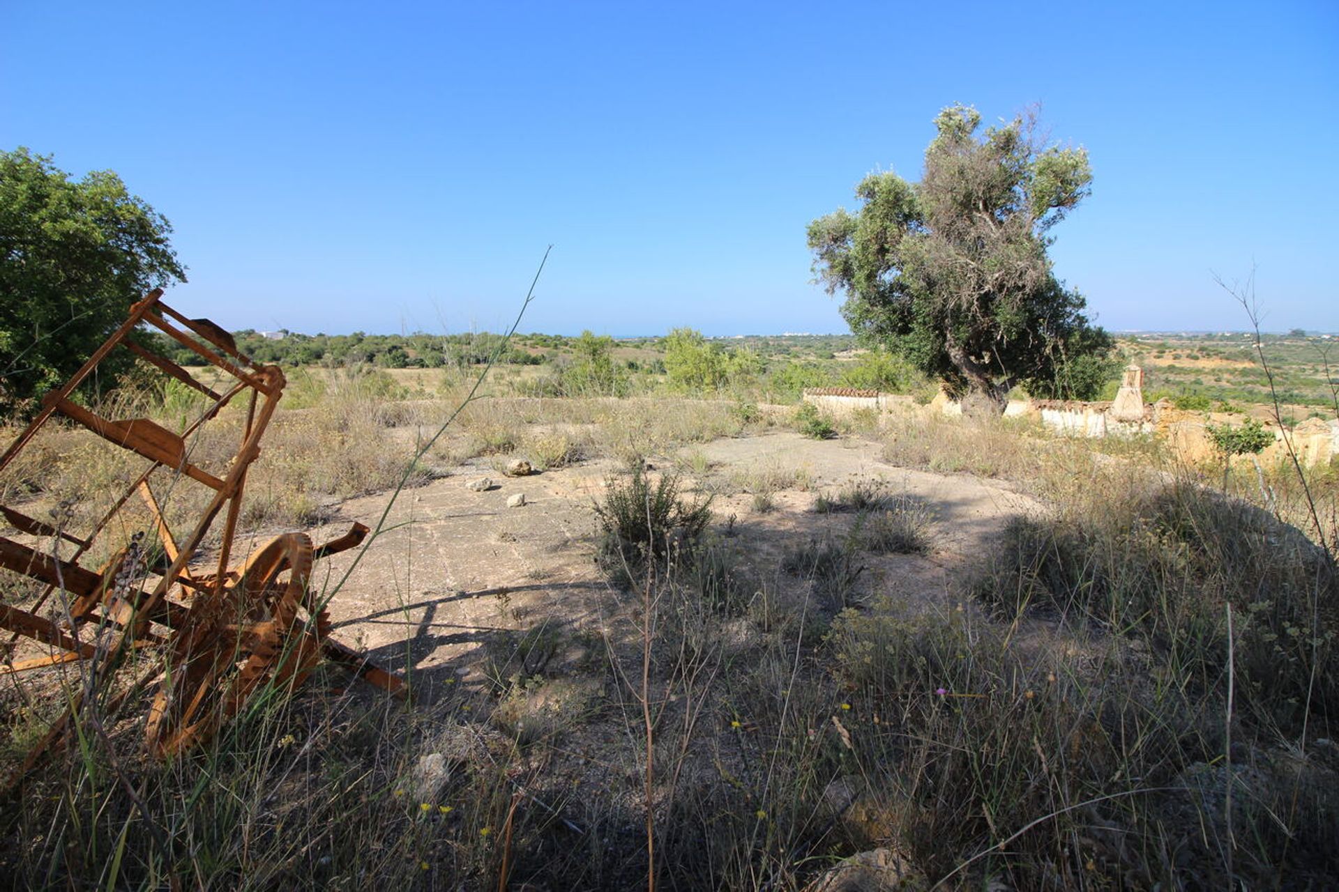 House in Algoz, Faro 11936537