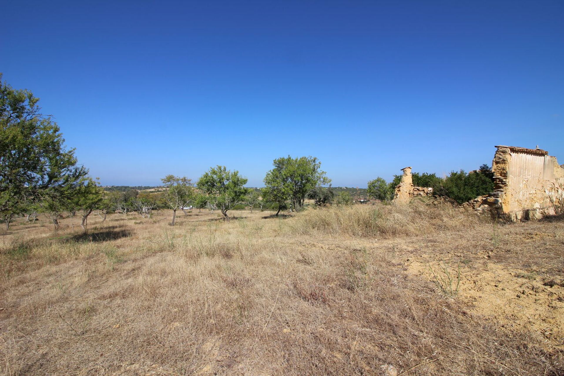 House in Algoz, Faro 11936537