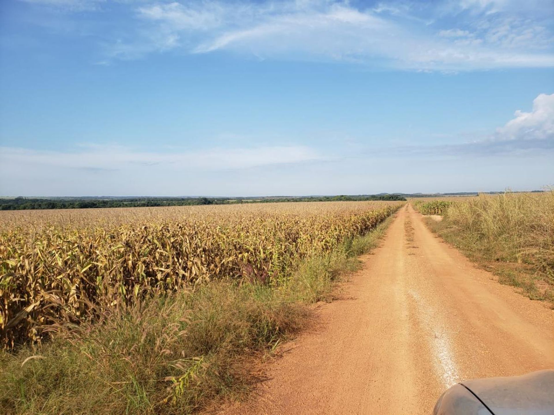 Autre dans , Av Pará 11936544