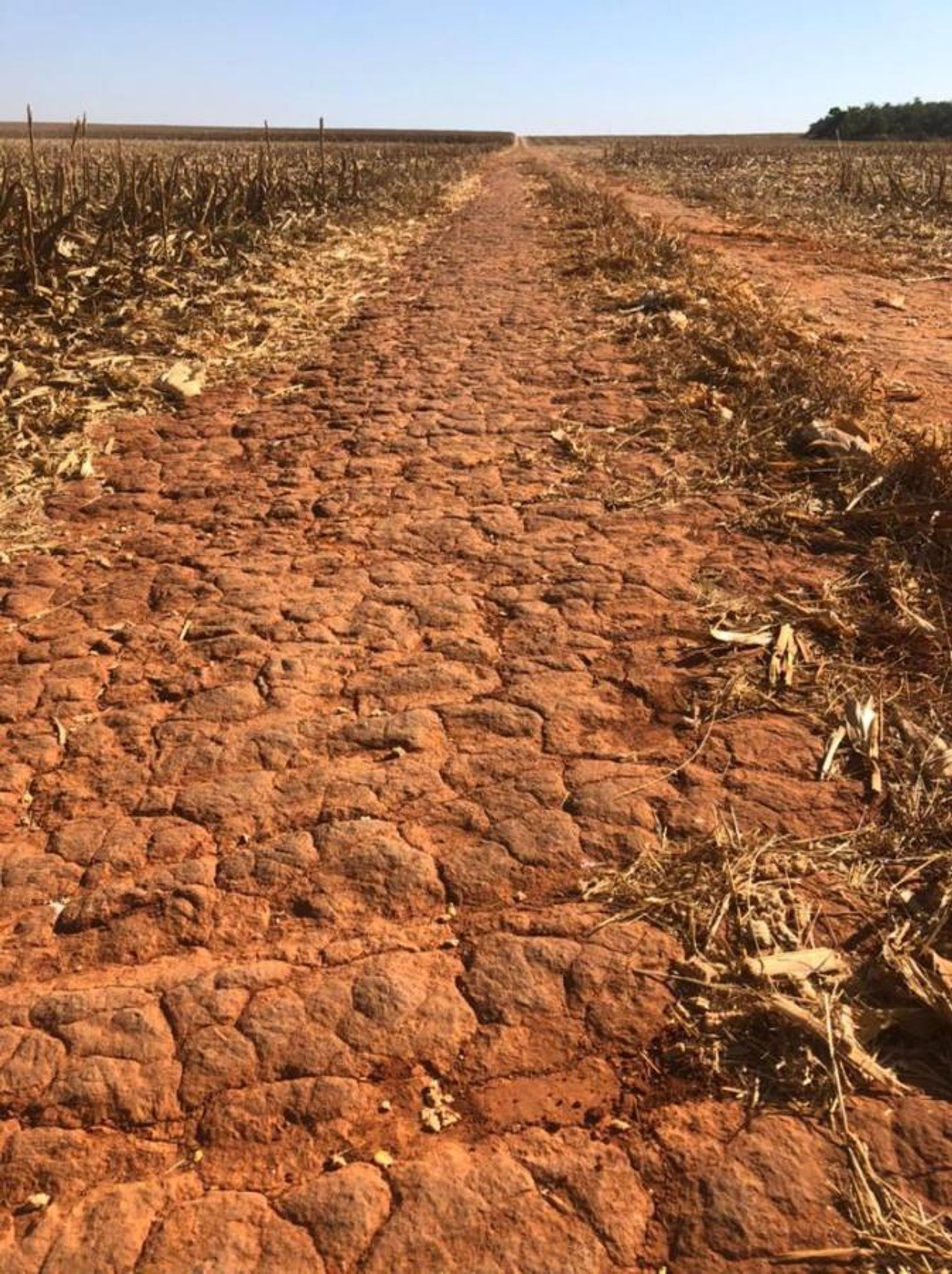 Altro nel Canarana, Av Pará 11936544