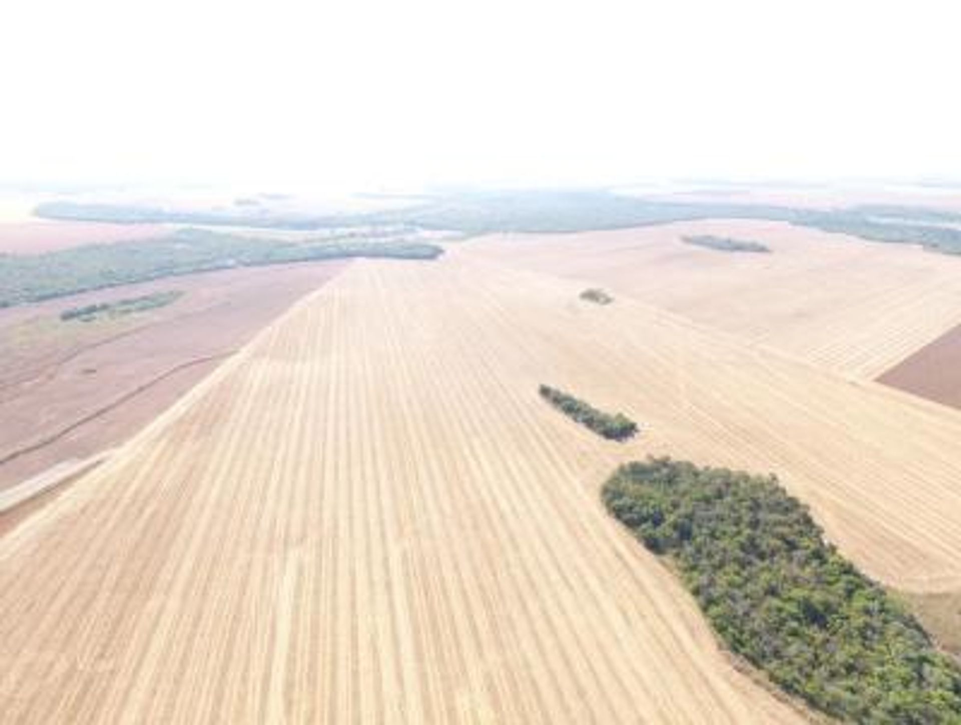 其他 在 Canarana, Av Pará 11936544