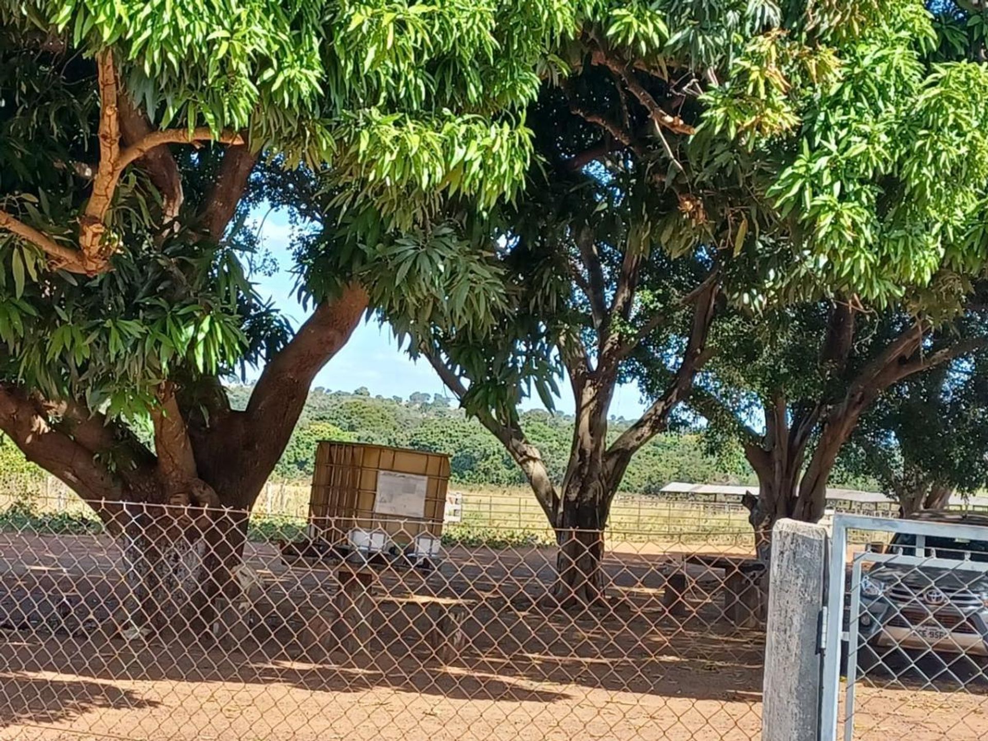 Otro en Canarana, Mato Grosso 11936545