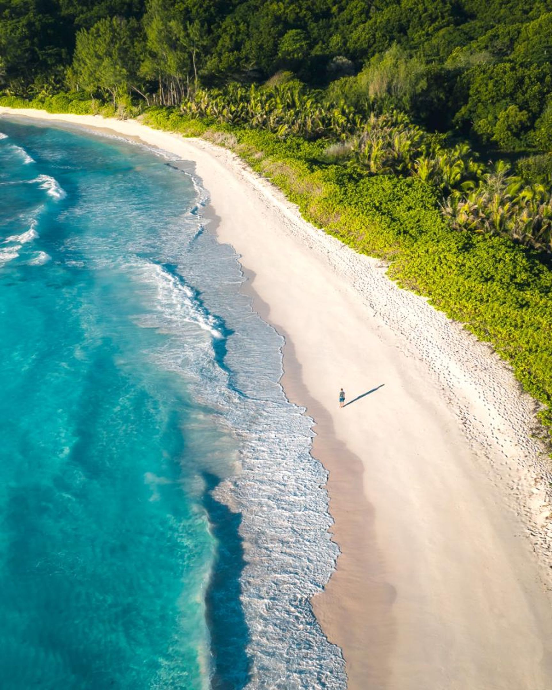 Maa sisään Anse Boileau, Anse Boileau 11936601