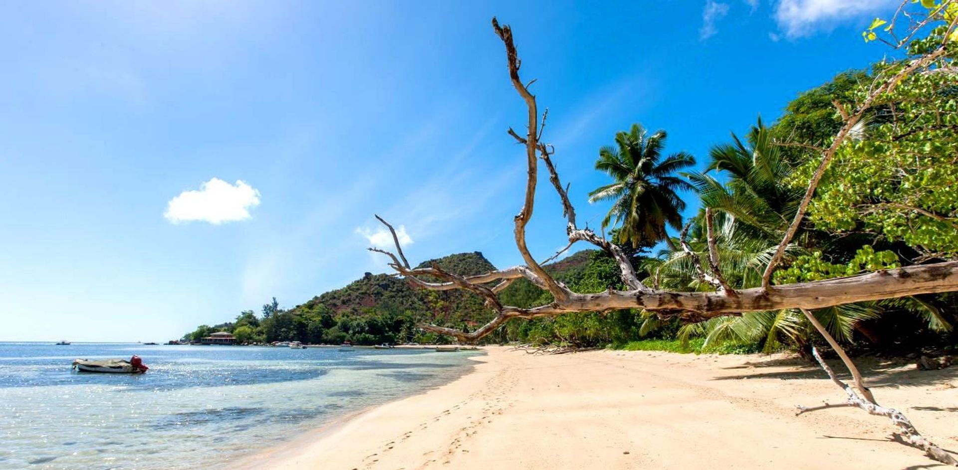 Wylądować w Grand Anse, Grand Anse Praslin 11936622