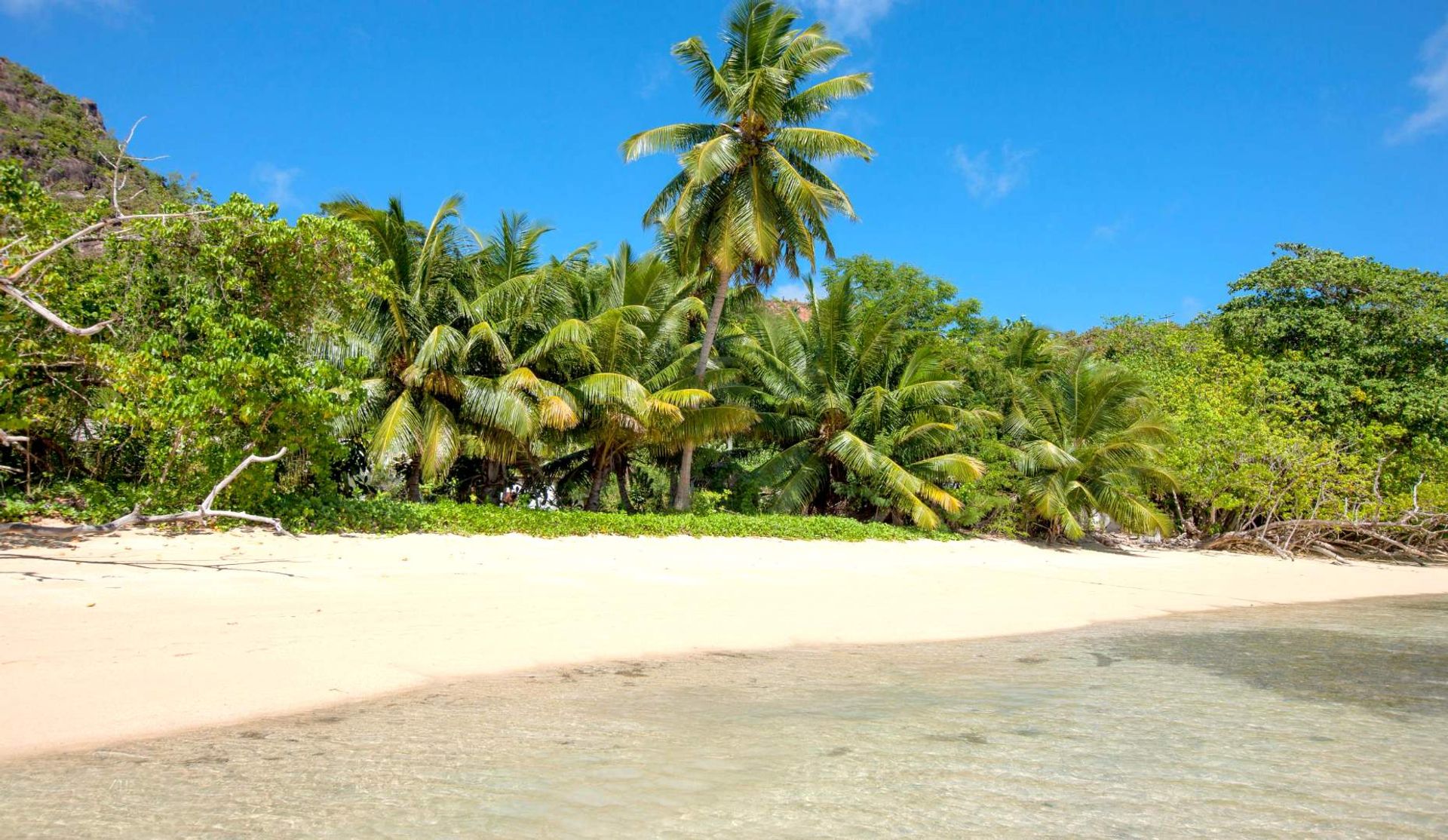 Maa sisään Grand Anse, Grand Anse Praslin 11936622