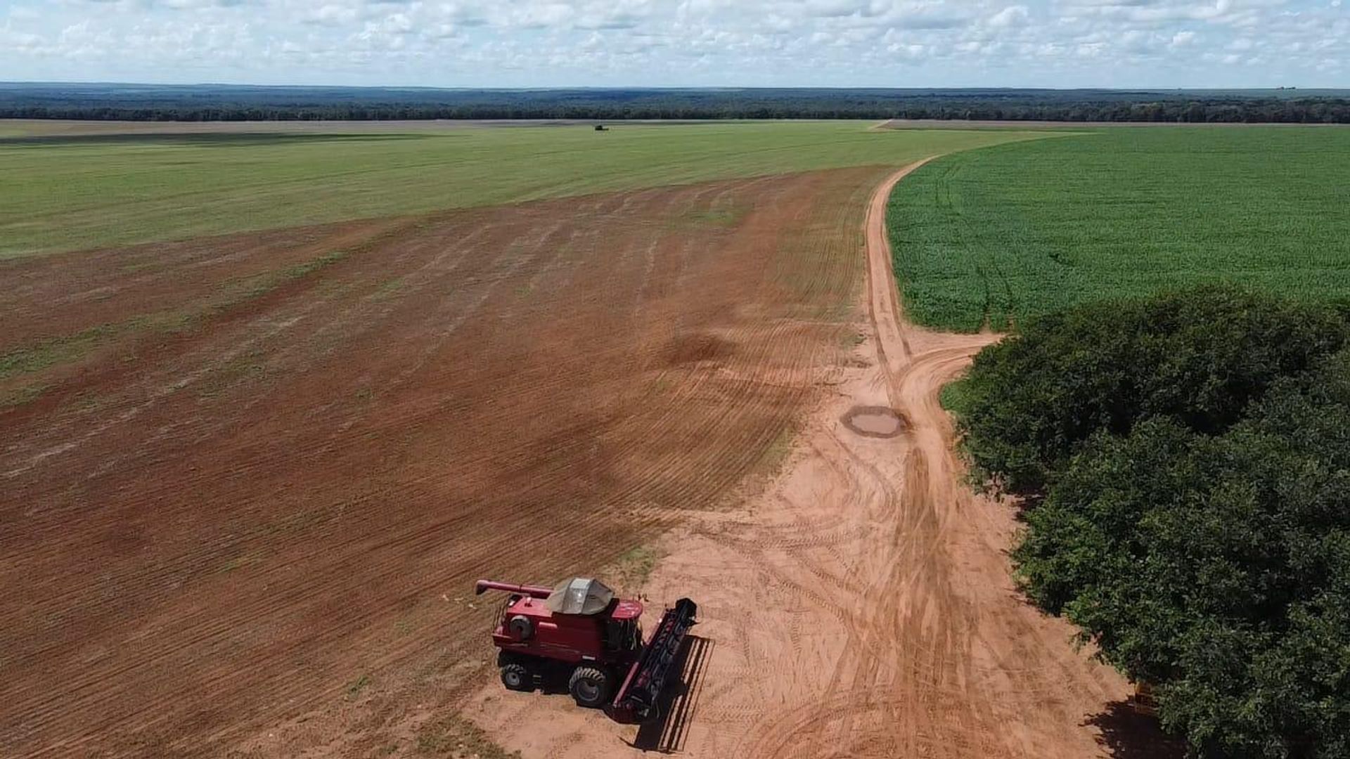 Muu sisään Nova Ubirata, Mato Grosso 11936668