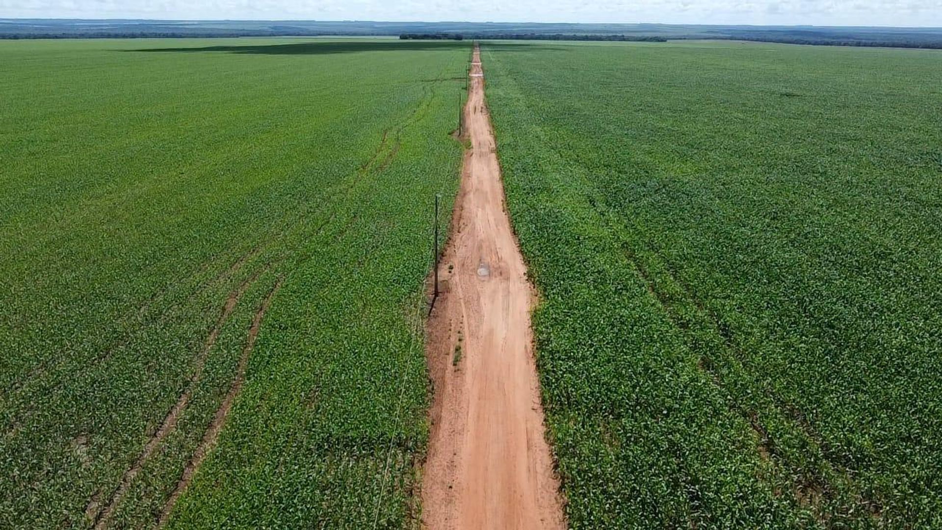 Otro en Nova Ubirata, Mato Grosso 11936668