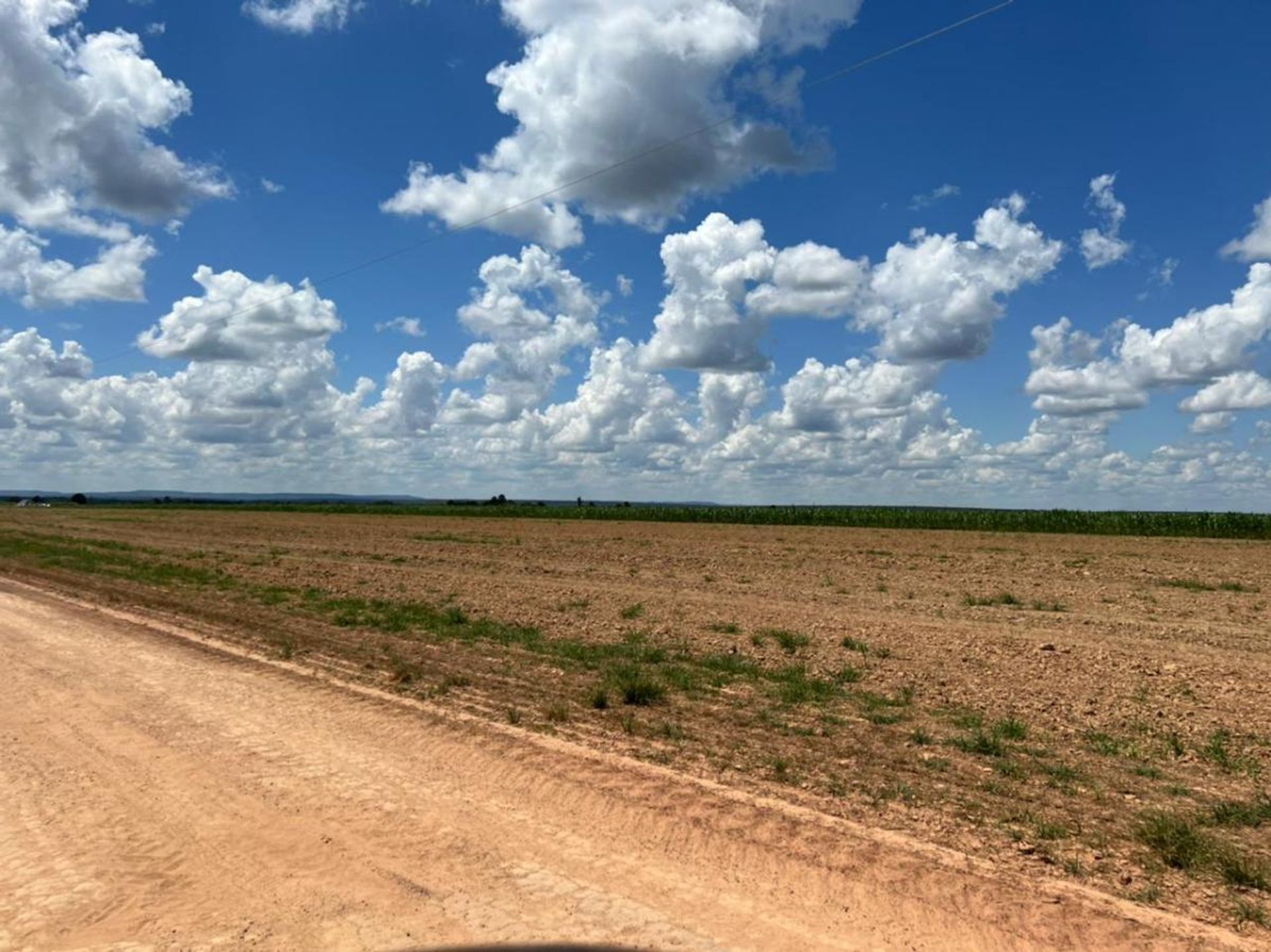 Lain di Mario Spinelli, Mato Grosso 11936669