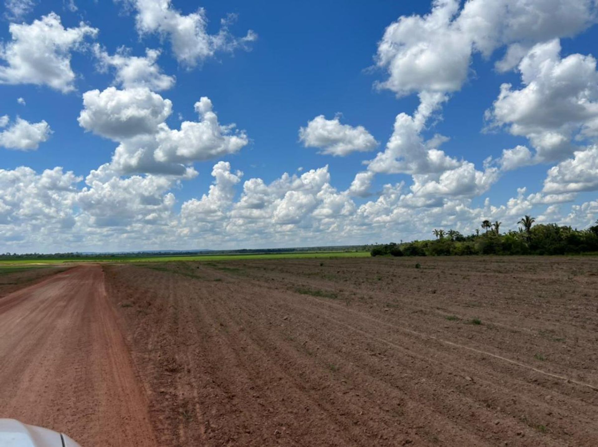 Inny w Paranatinga, Mato Grosso 11936669