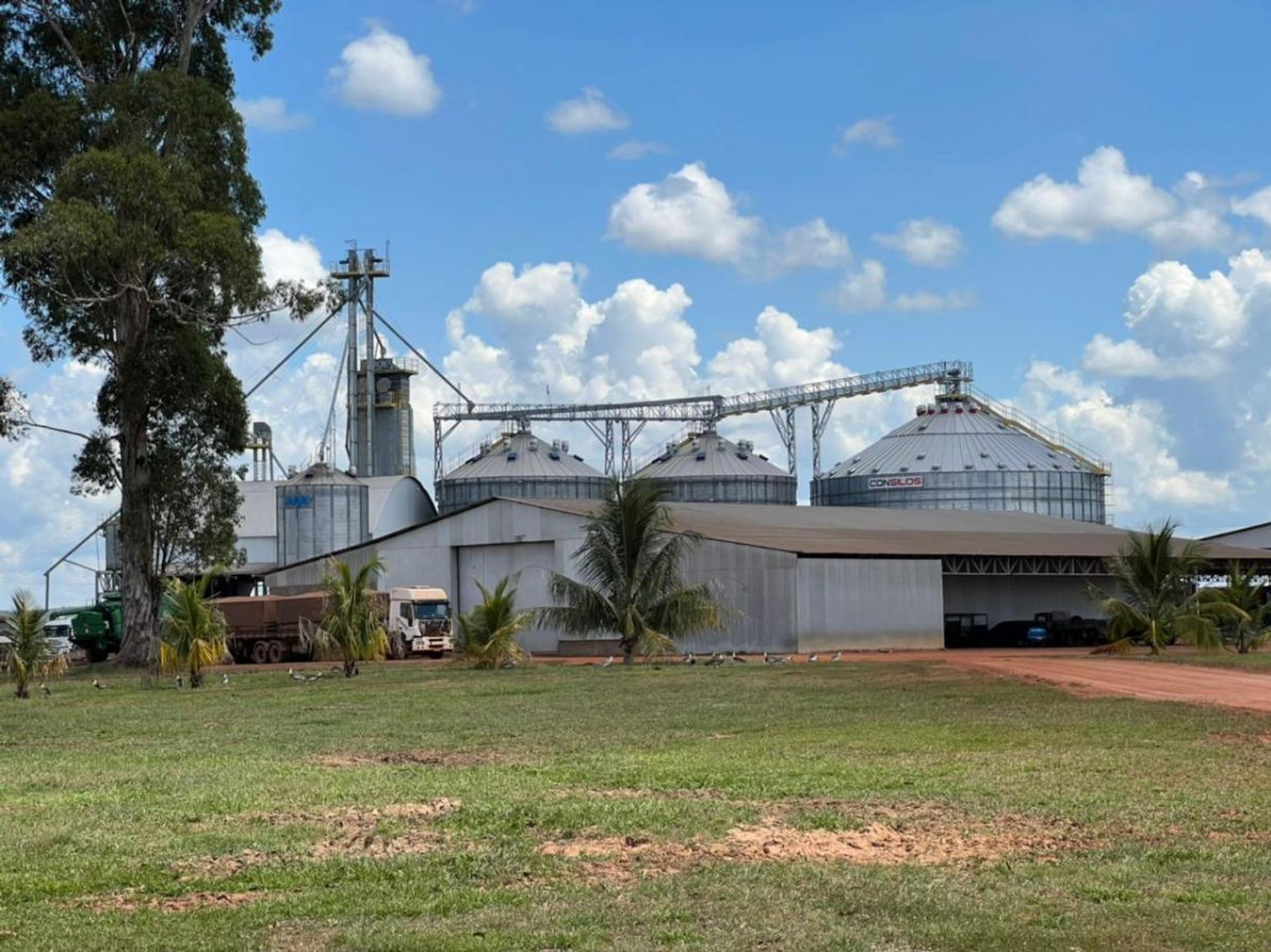 Lain di Paranatinga, Mato Grosso 11936669