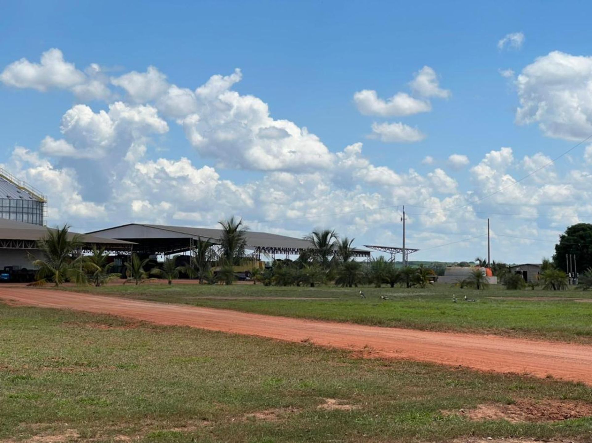 Andere in Paranatinga, Mato Grosso 11936669