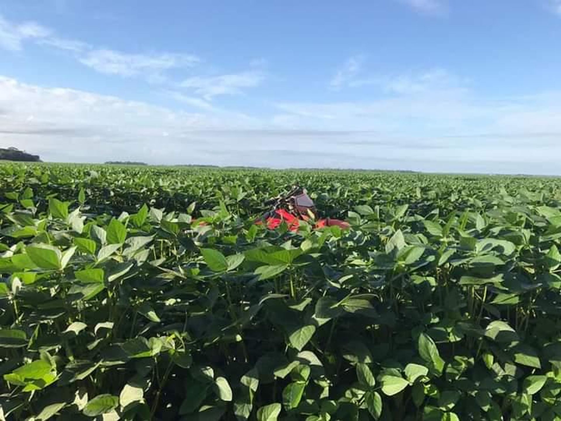 آخر في Santana do Araguaia, Pará 11936672