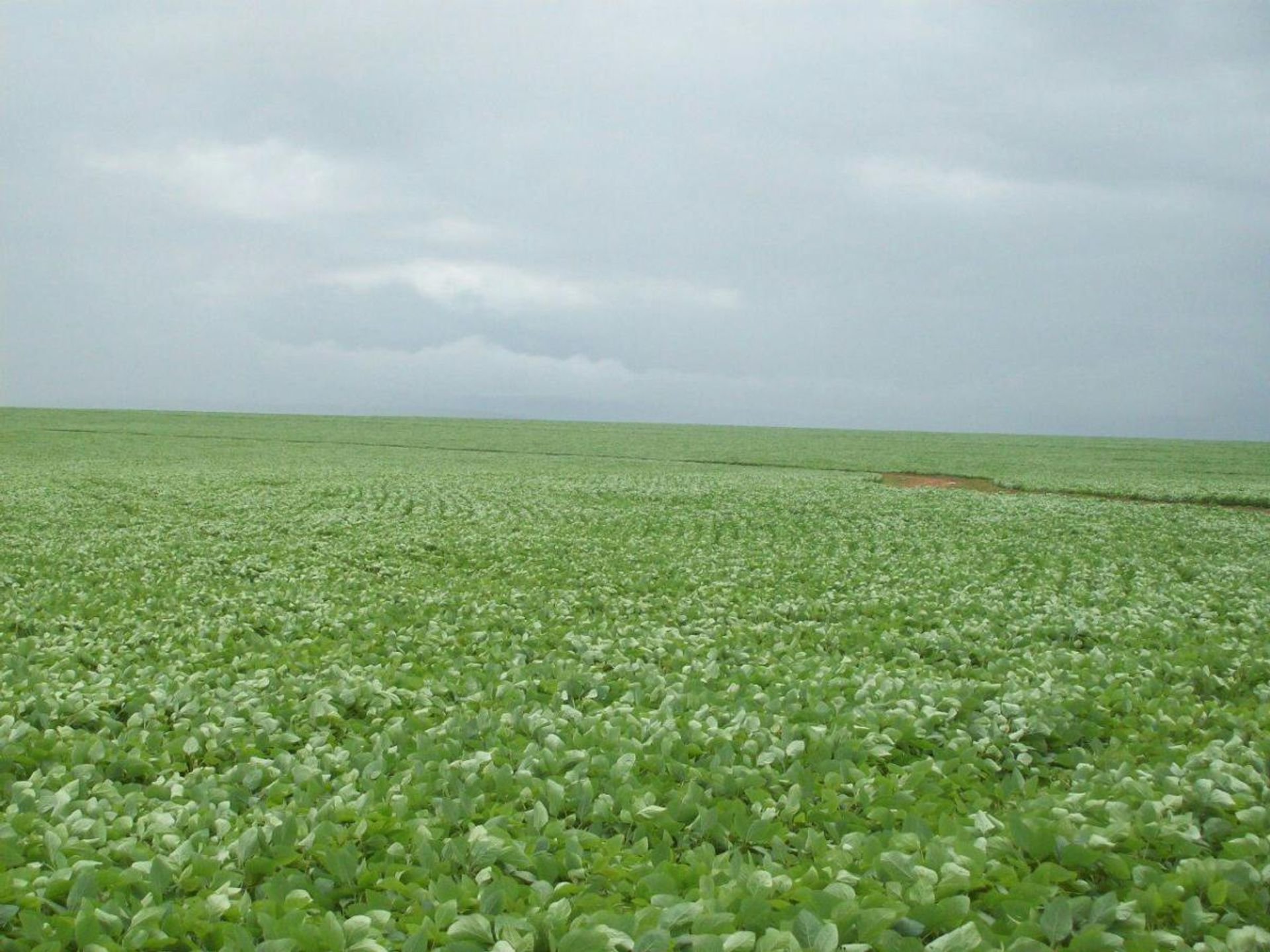 Otro en Santana do Araguaia, Para 11936673