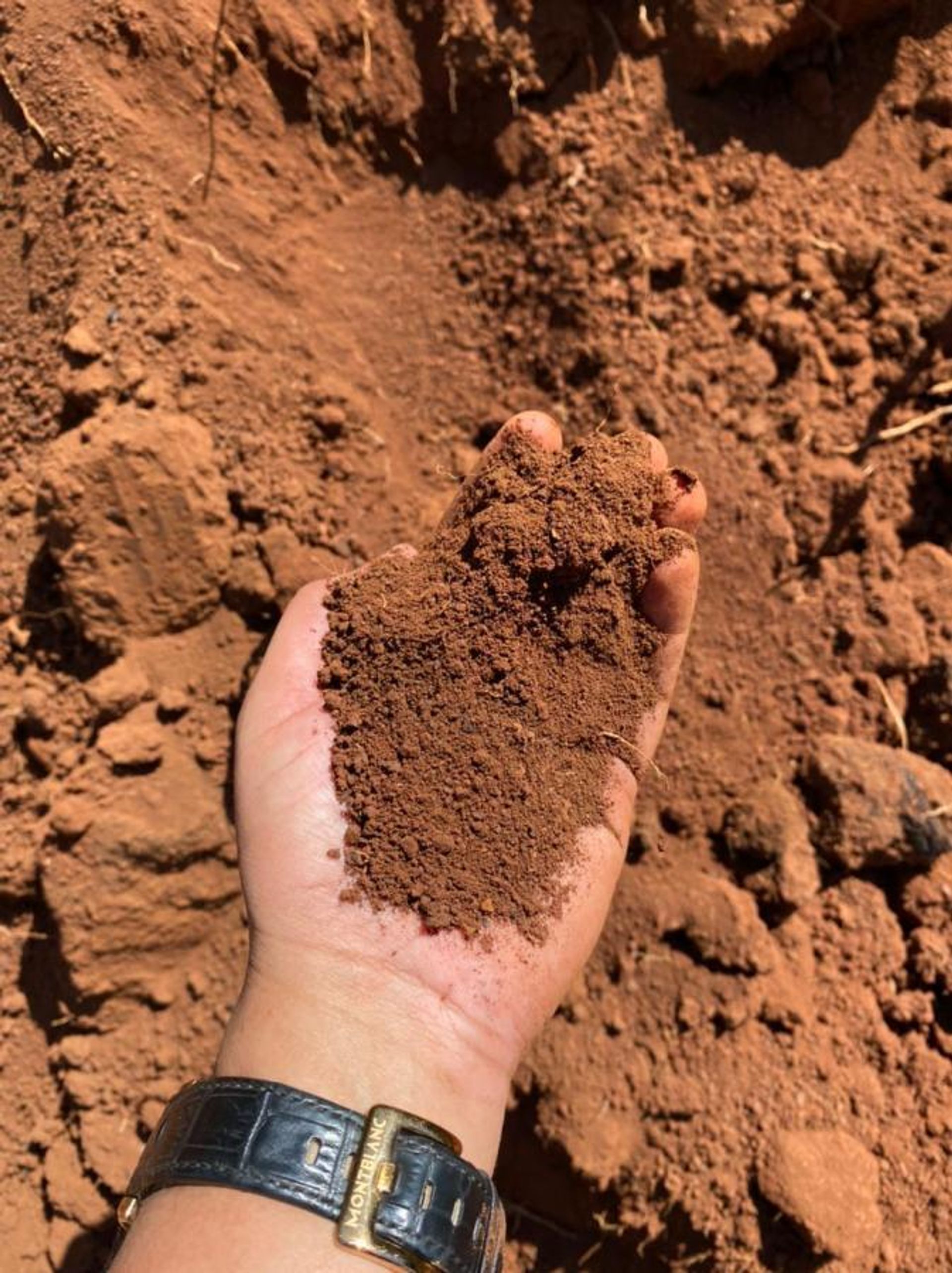 آخر في Santana do Araguaia, Pará 11936673