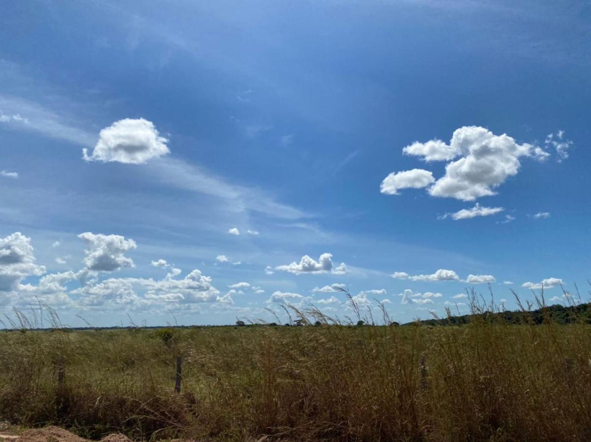 Muu sisään Santana do Araguaia, Pará 11936673