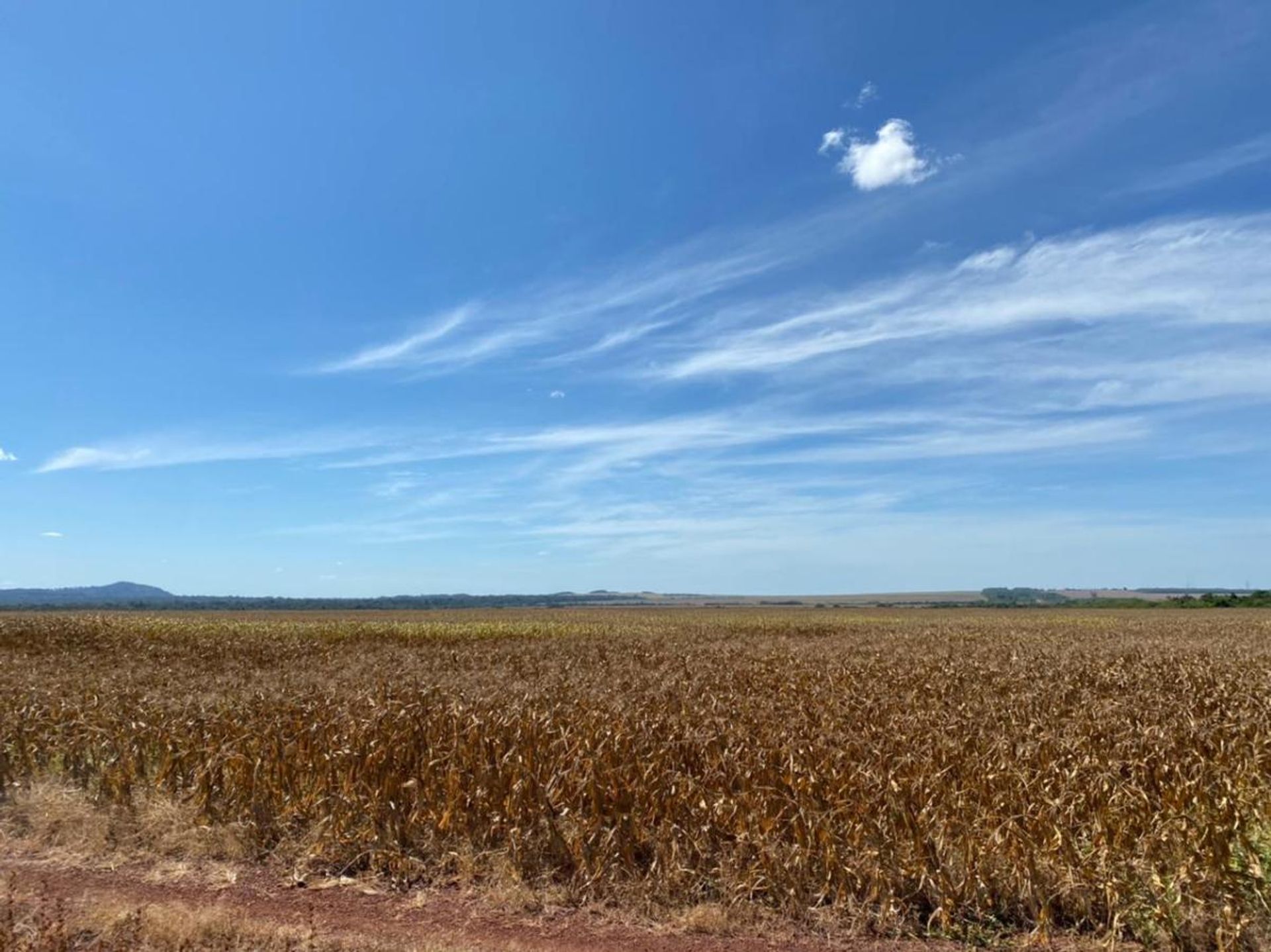 Altro nel Santana do Araguaia, Pará 11936673