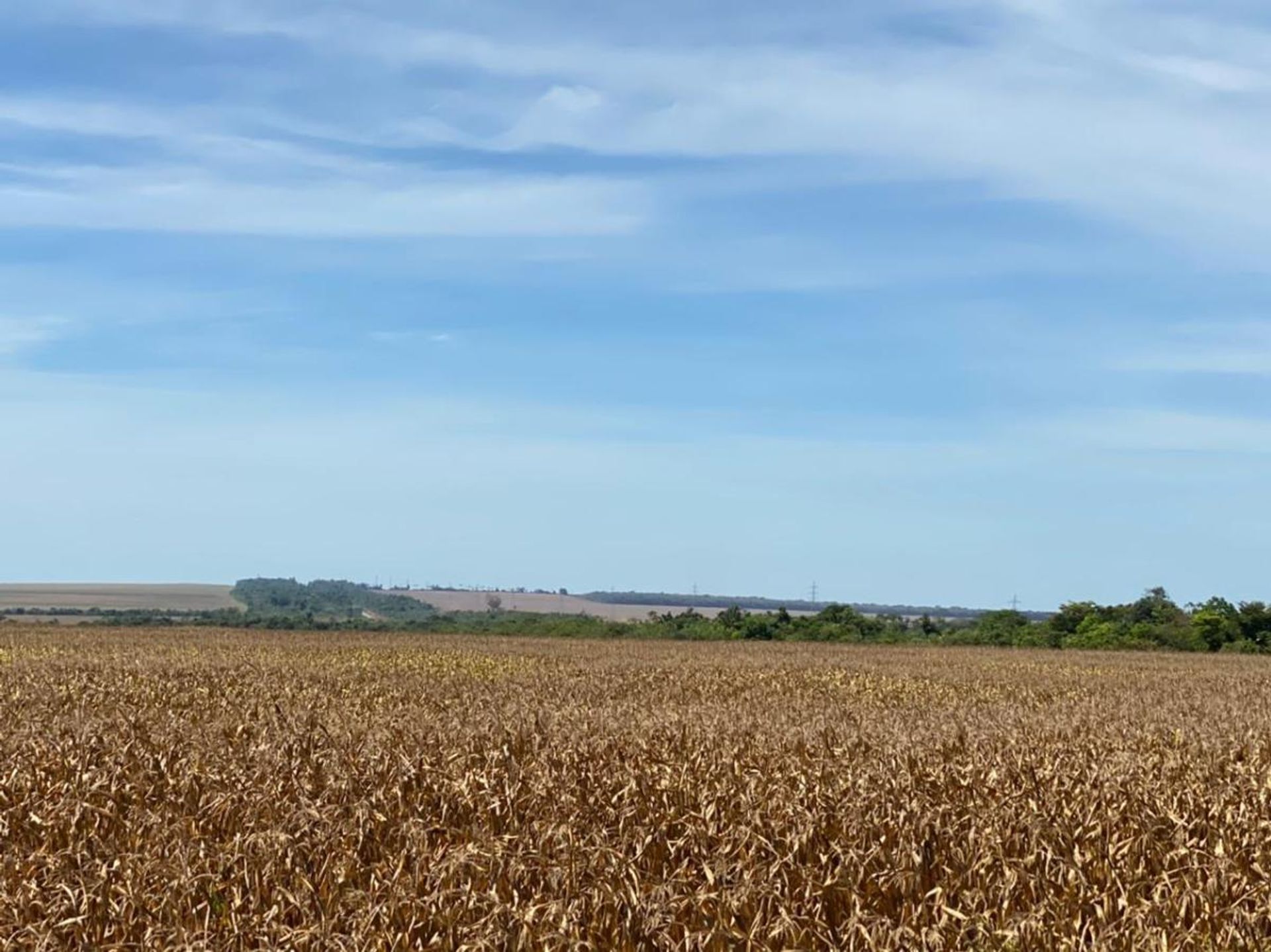 آخر في Santana do Araguaia, Pará 11936673