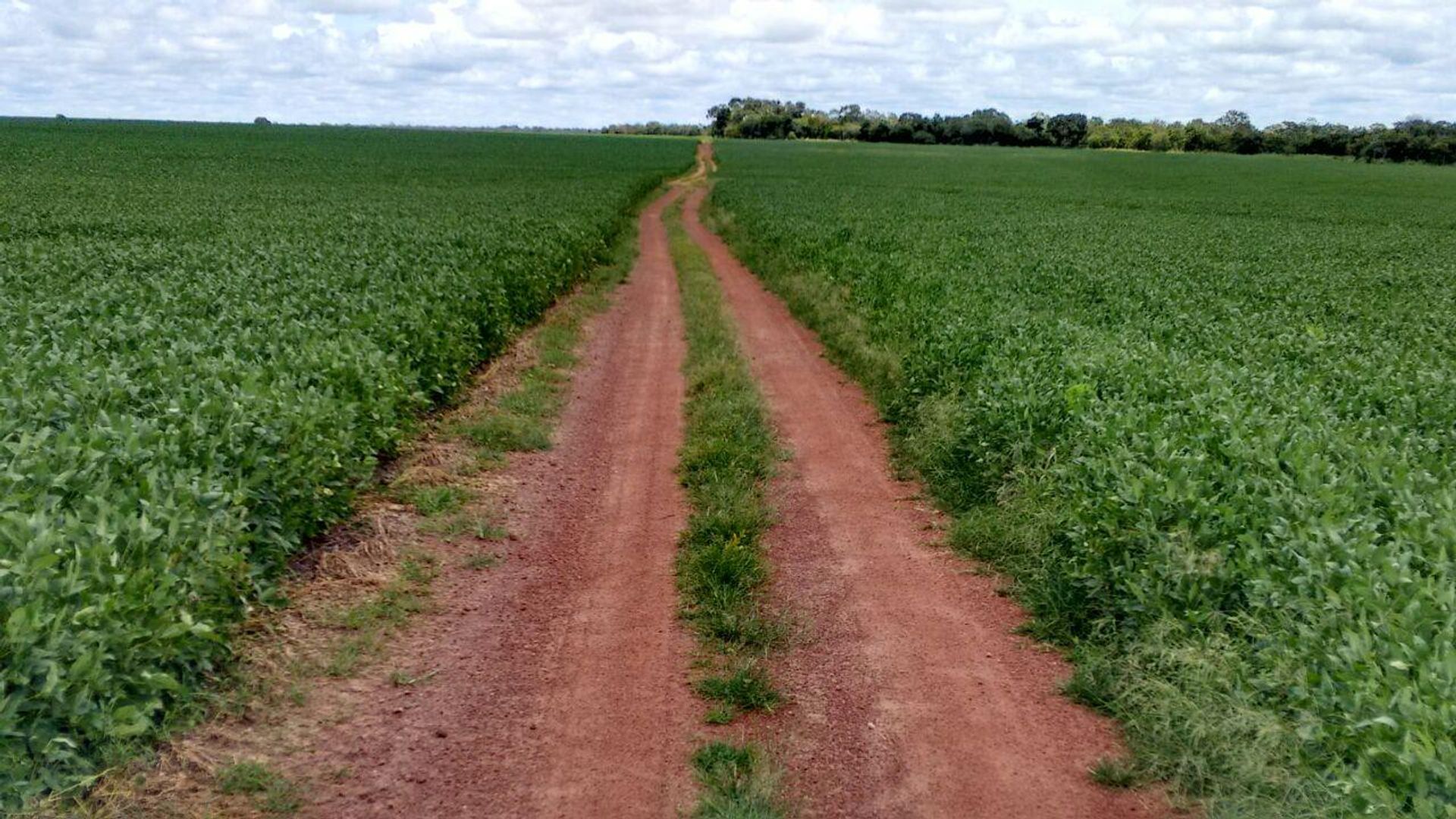 Altro nel Santana do Araguaia, Parà 11936673