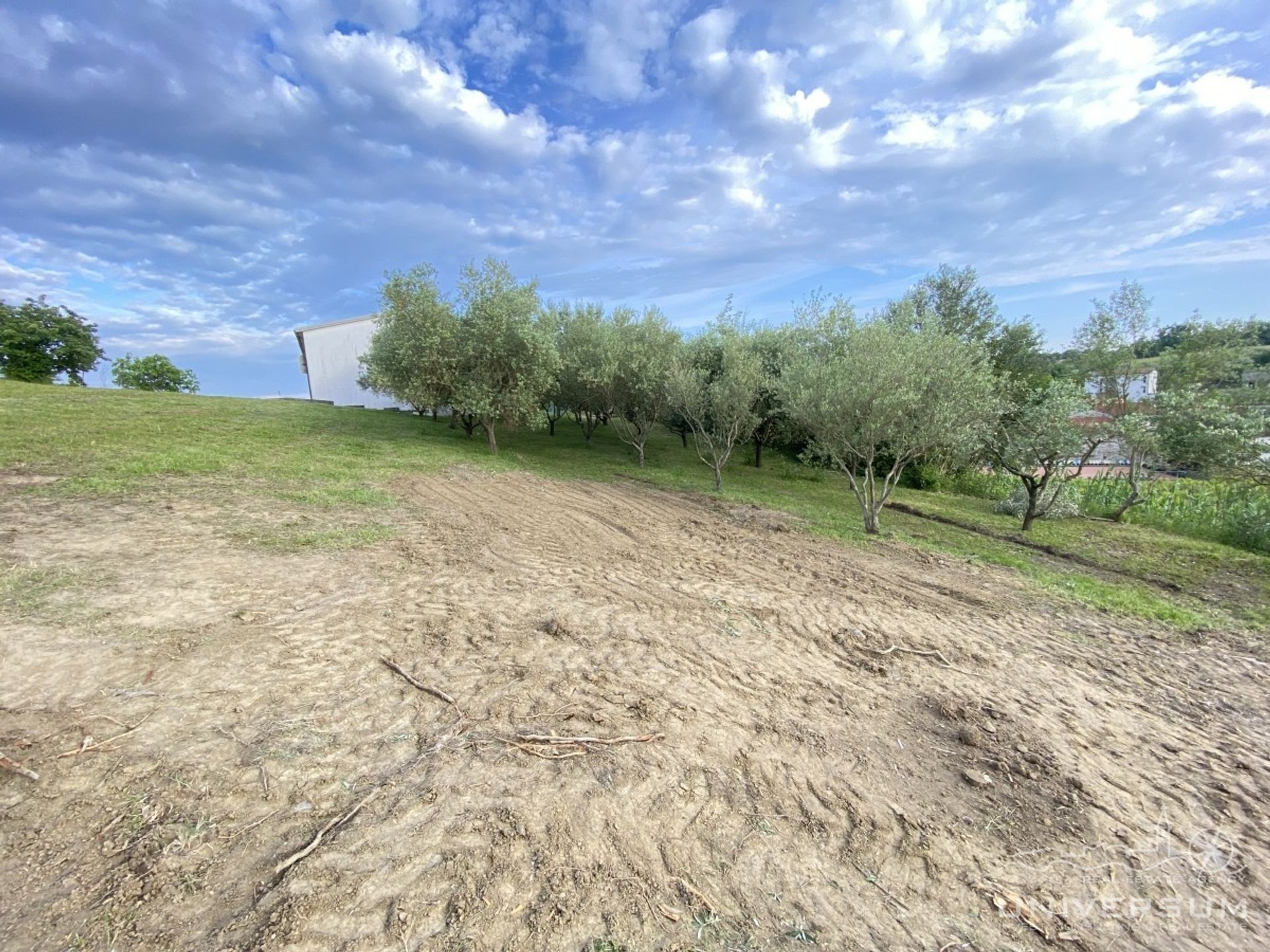 Autre dans Vižinada, Istria County 11937087