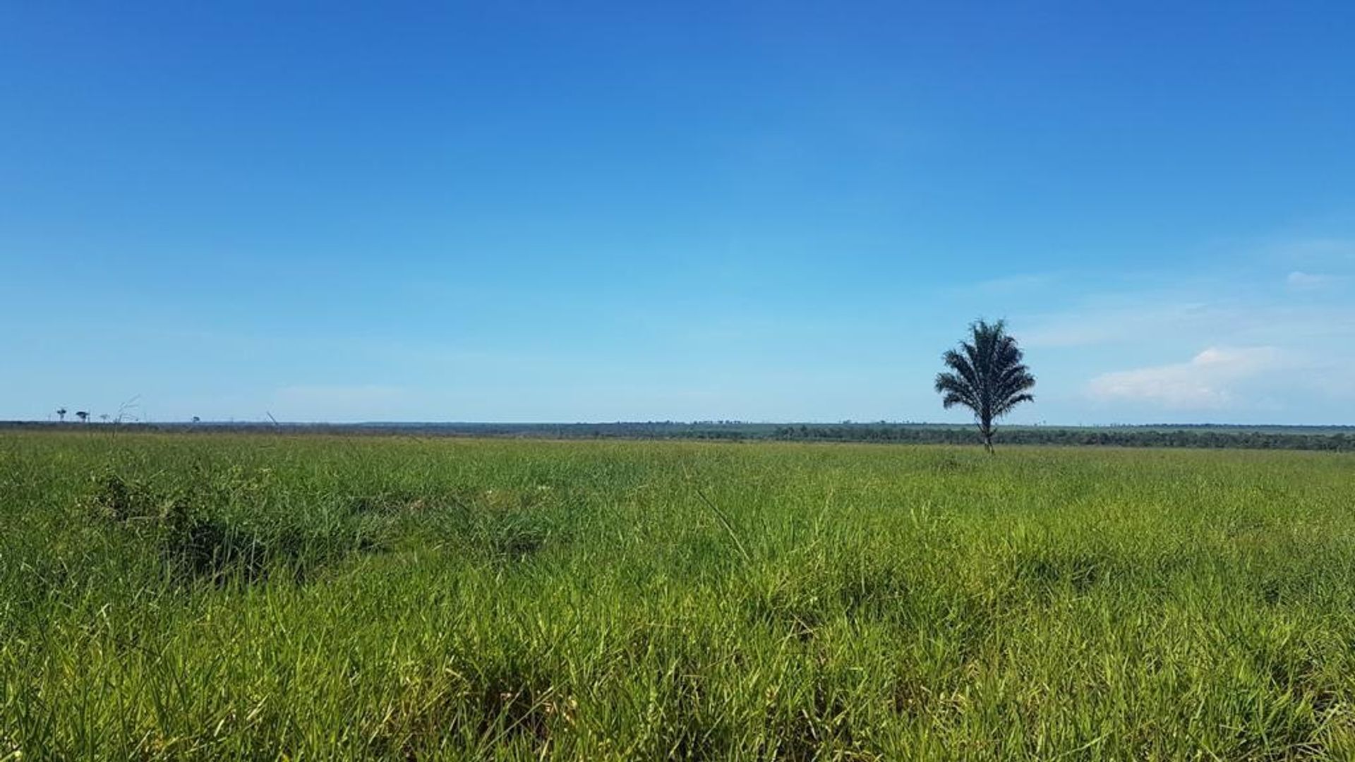 Otro en Paranatinga, Mato Grosso 11937401